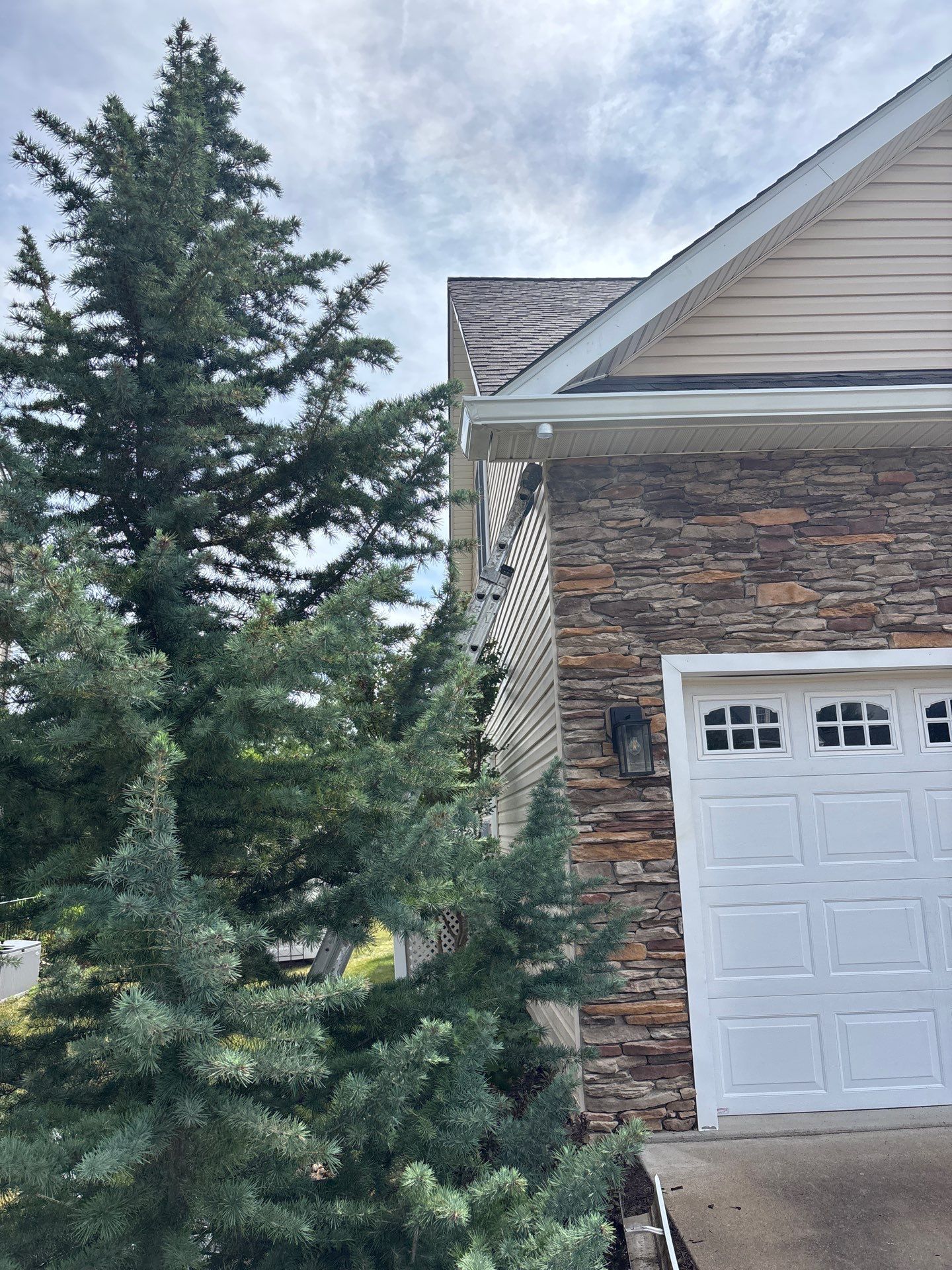 Roof and Gutter Replacement by Winchester Roofing