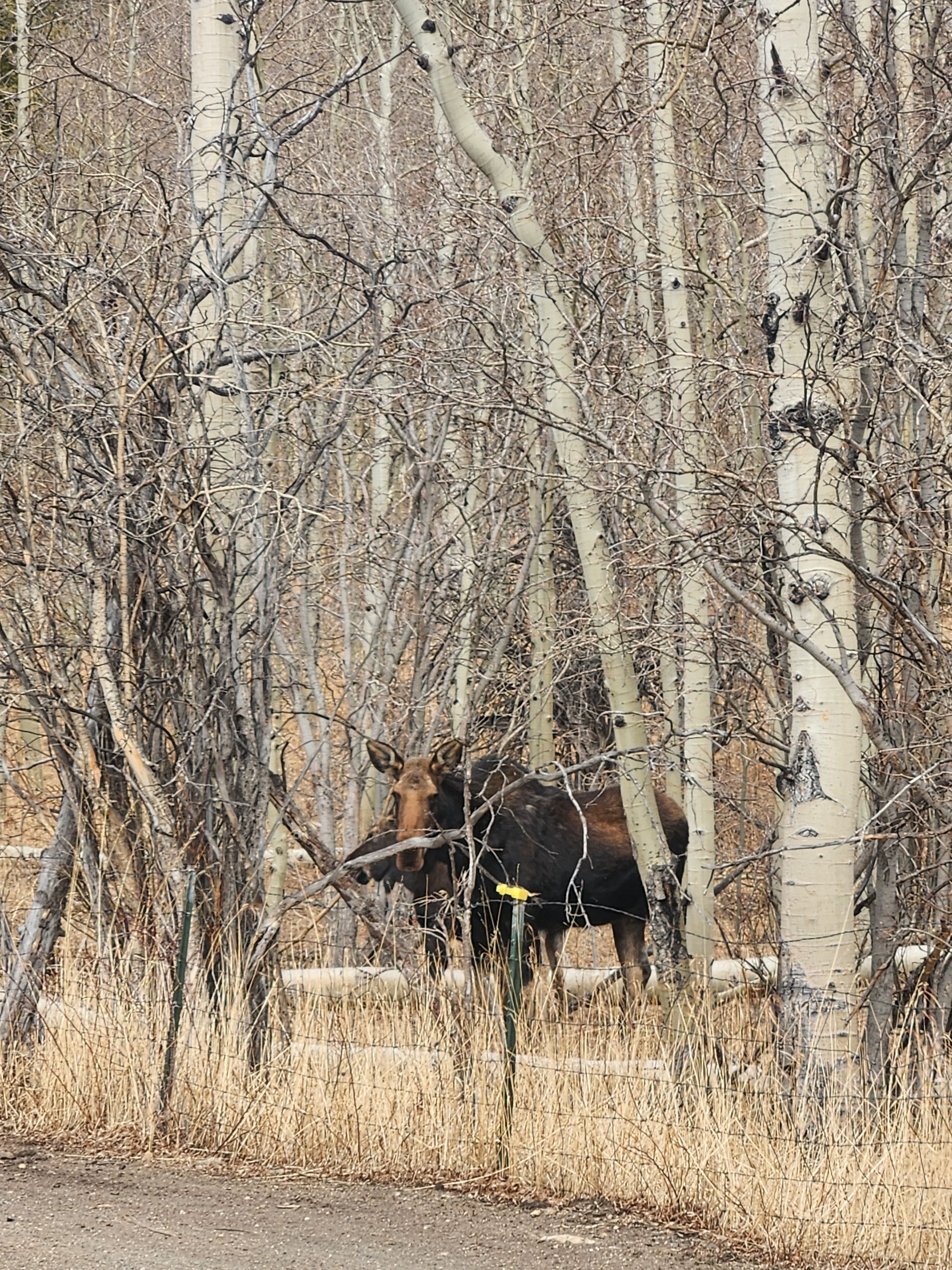 OC Builders Group featured photo.