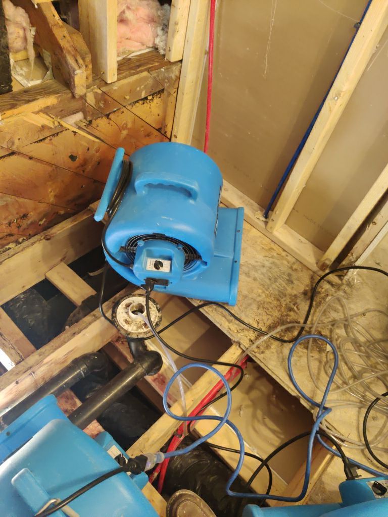 Mold Remediation in Bathroom by Accountable Home Services