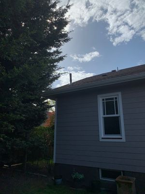Project in Portland