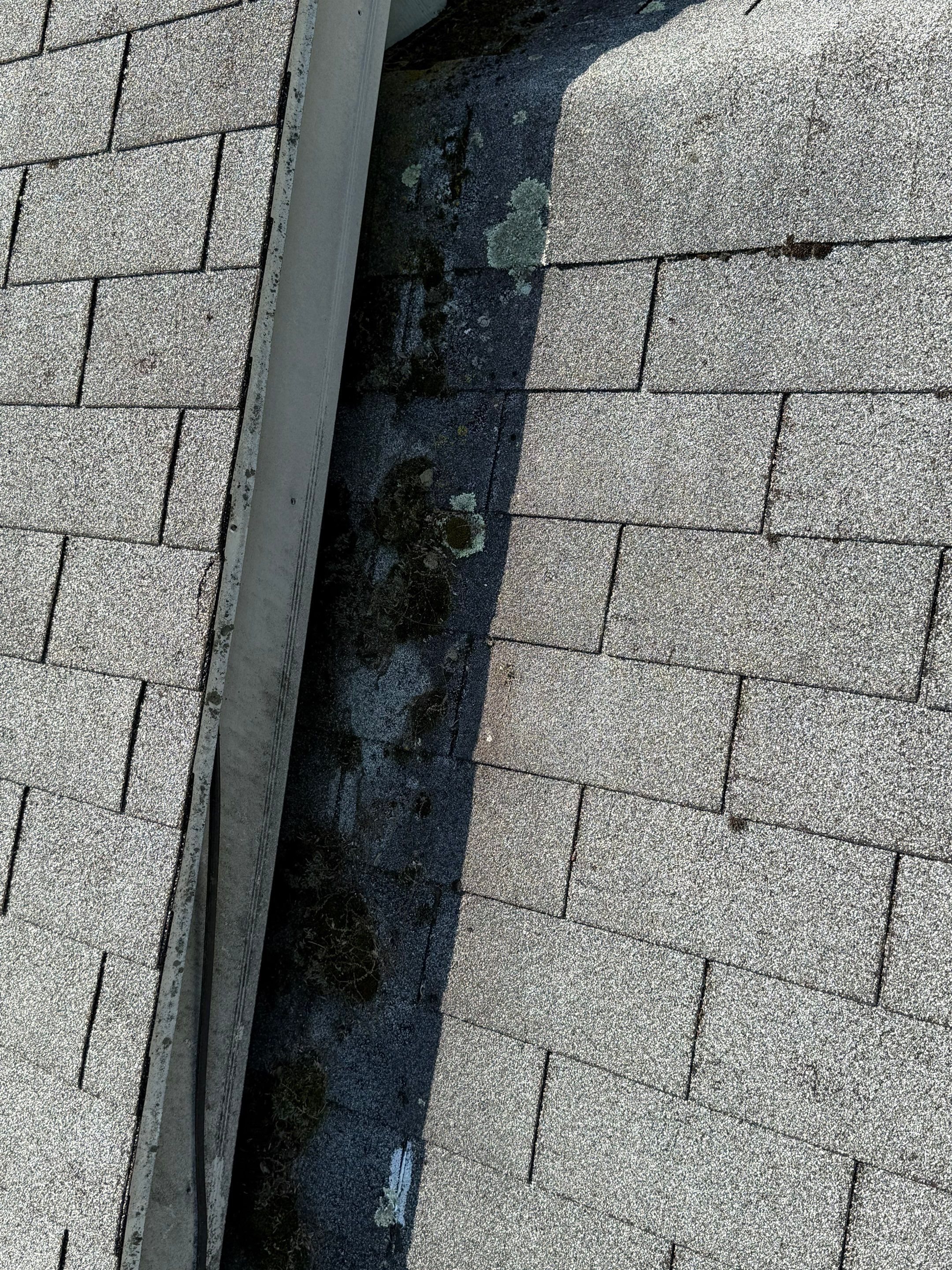 Onyx Black Roof Transformation in Maynard, MA by Mighty Dog Roofing of Greater Middlesex County