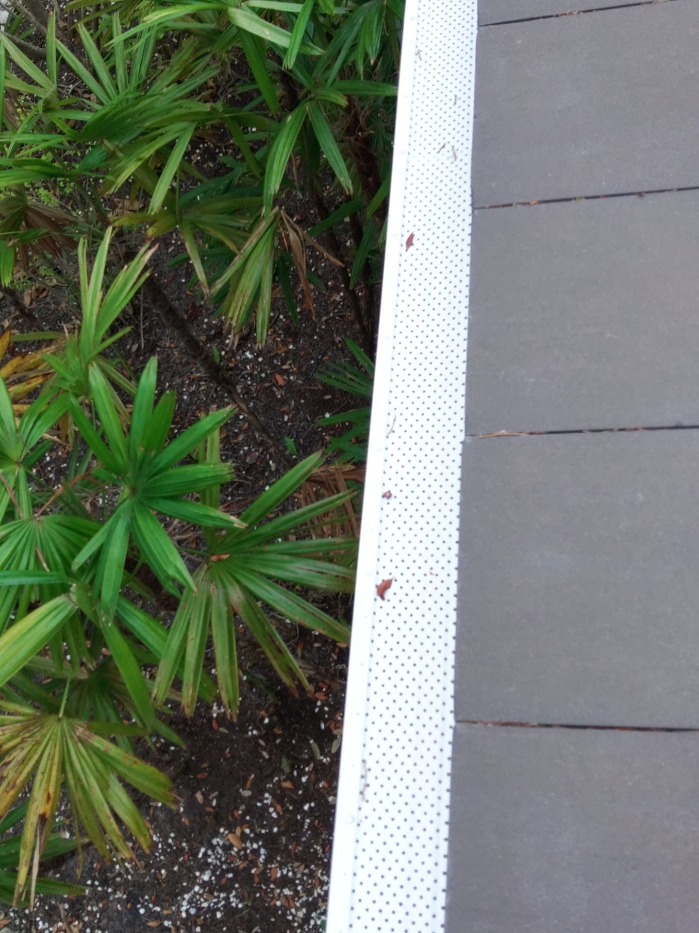Custom Color Gutter Solutions in Sarasota FL by Gutter Professors
