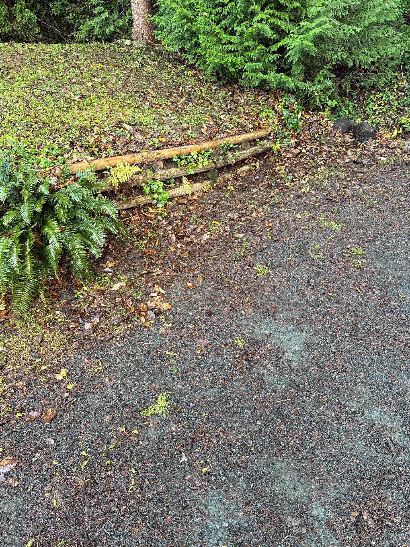 Leaf removal by YVR Construction Group