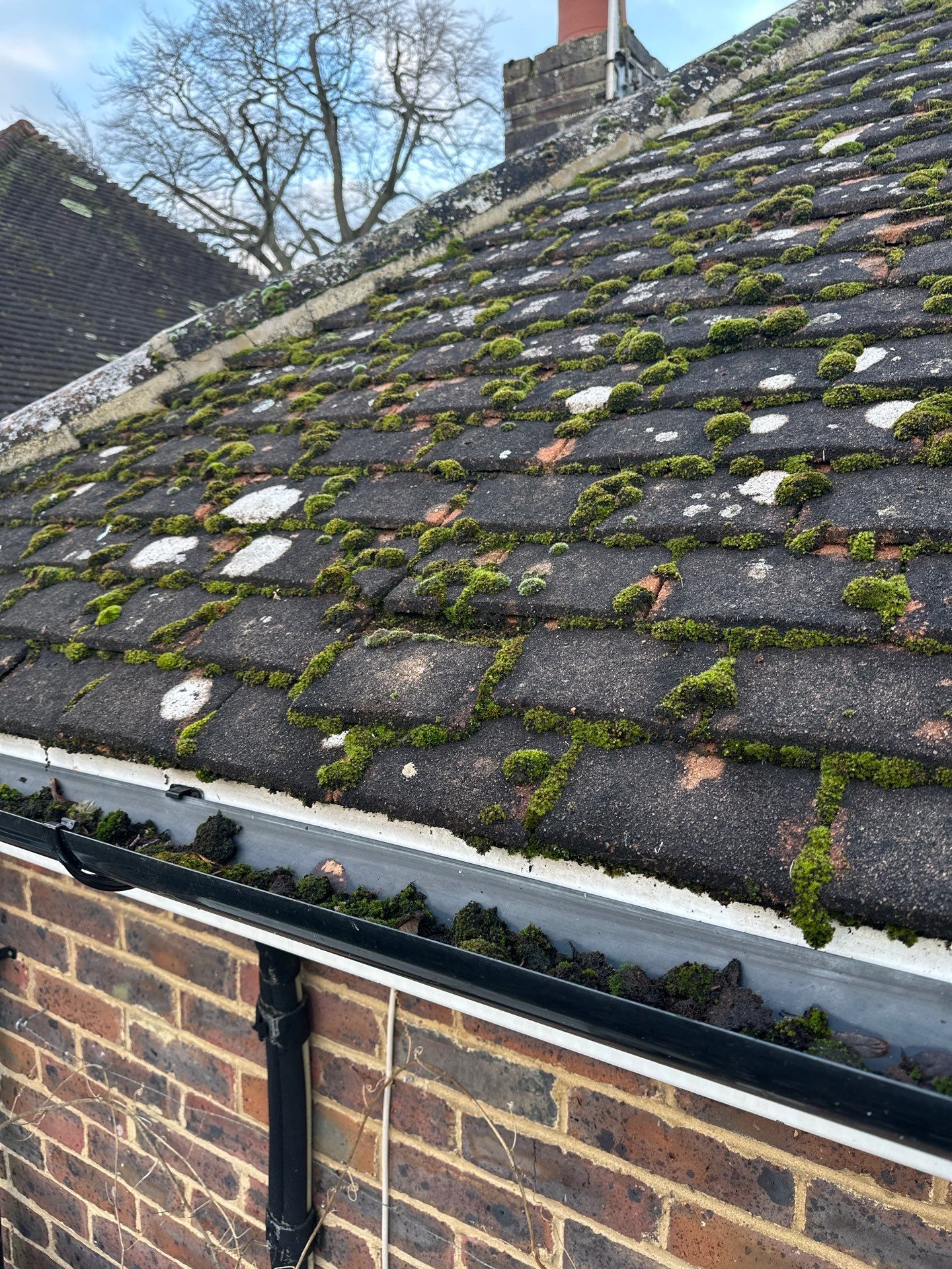 Roof And Driveway Clean by Ges Exterior Cleaning ltd