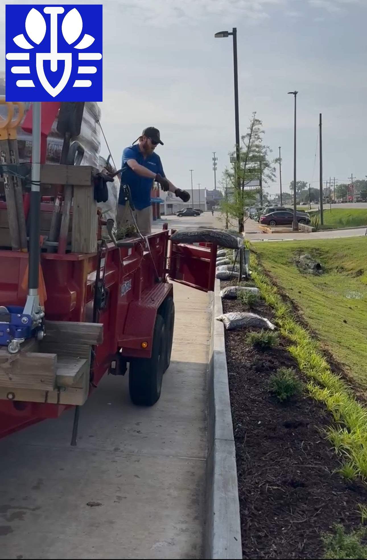 COMMERCIAL LAWN MAINTENANCE: HEDGE TRIM / BED CLEAN / MULCH INSTALL using BROWN MULCH "BARK BRITE" by CutScape, LLC.