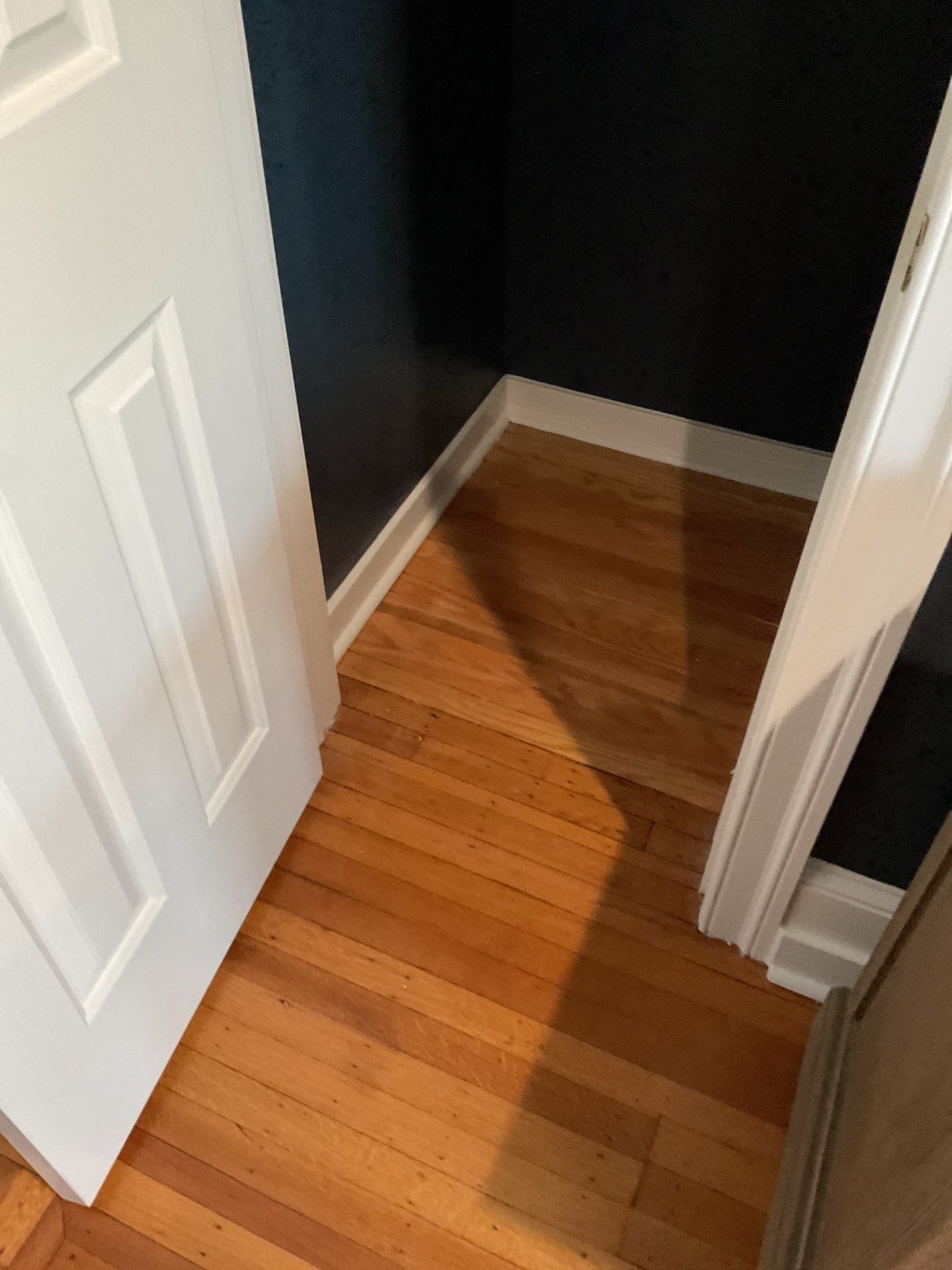 A Bold, Focused Office Refresh in Fairmount by Groovy Hues