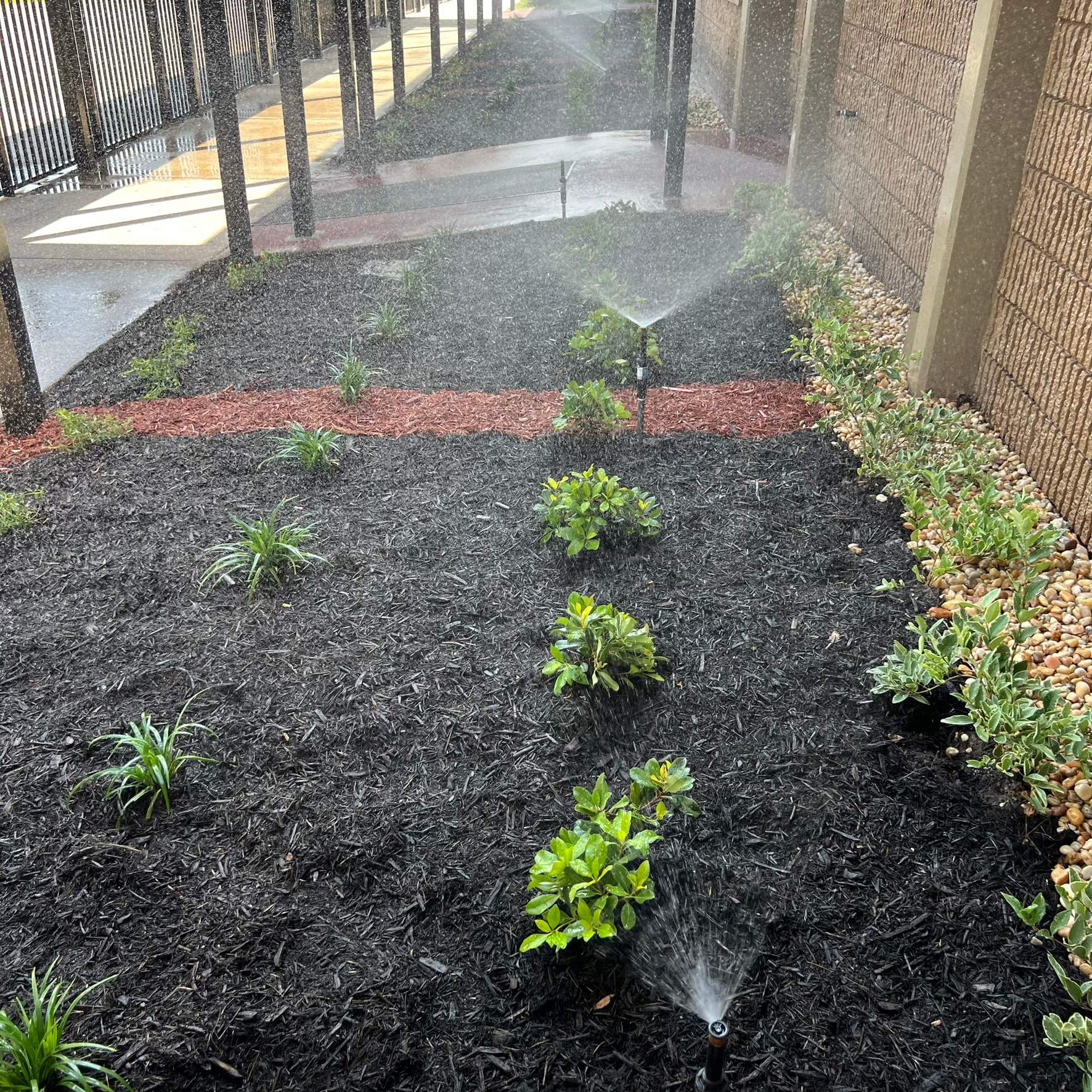 Landscape Install | Wilkinson JHS by ProGreen Services