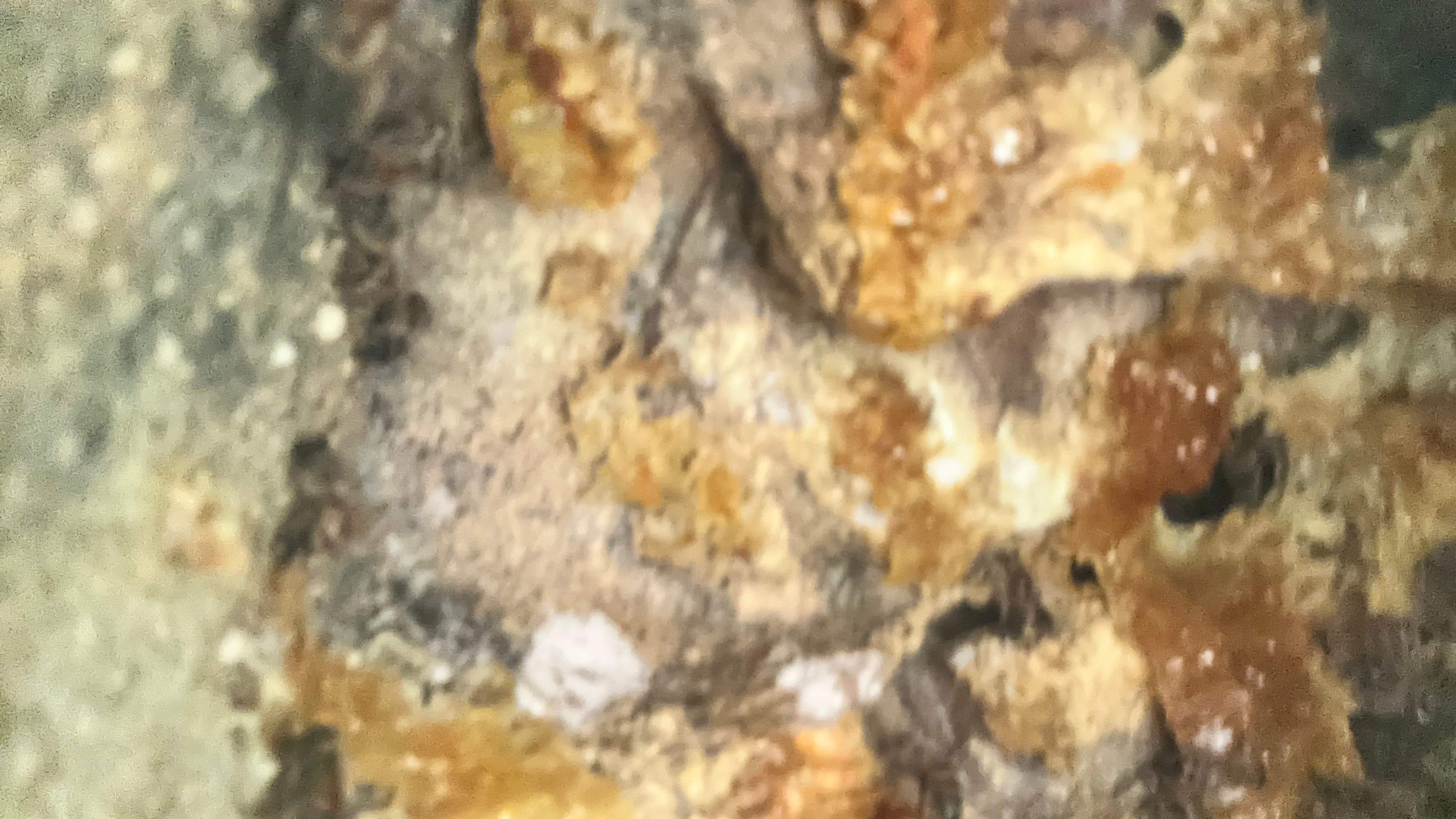 Art Gallery by Rockwall Honey Bee Company