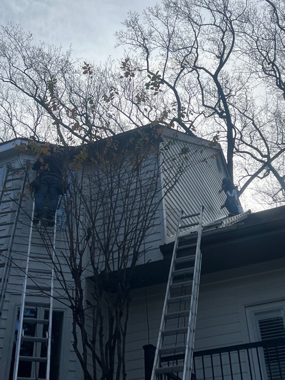 Arlington: Bevel Cedar Wood Siding Restoration by RM Banning, Inc.