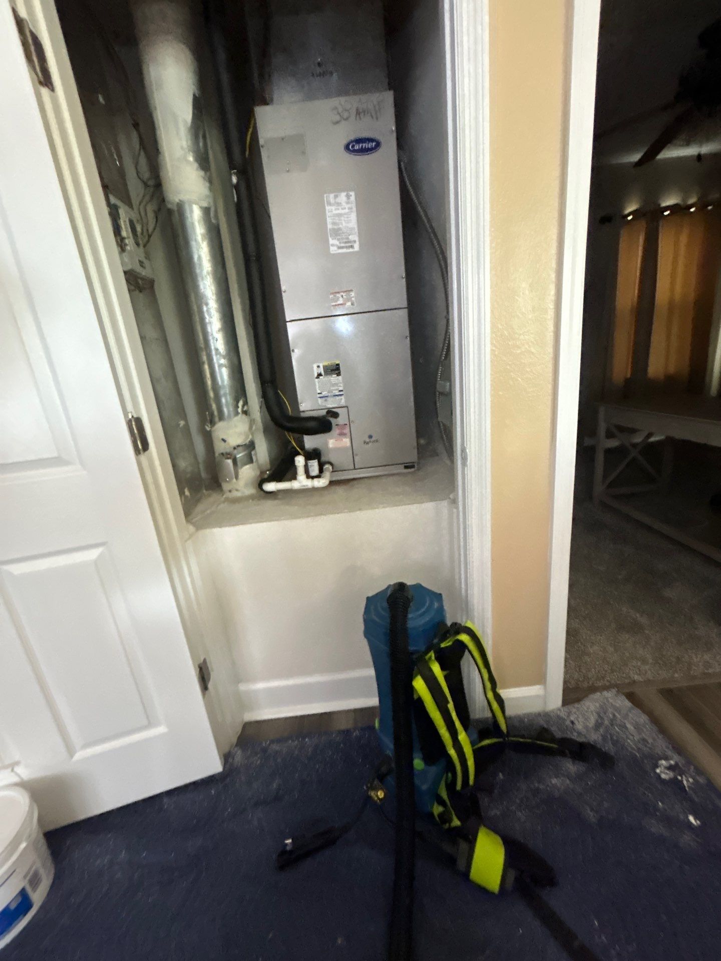 Sarasota Mold Damage by Ampm Restoration Services
