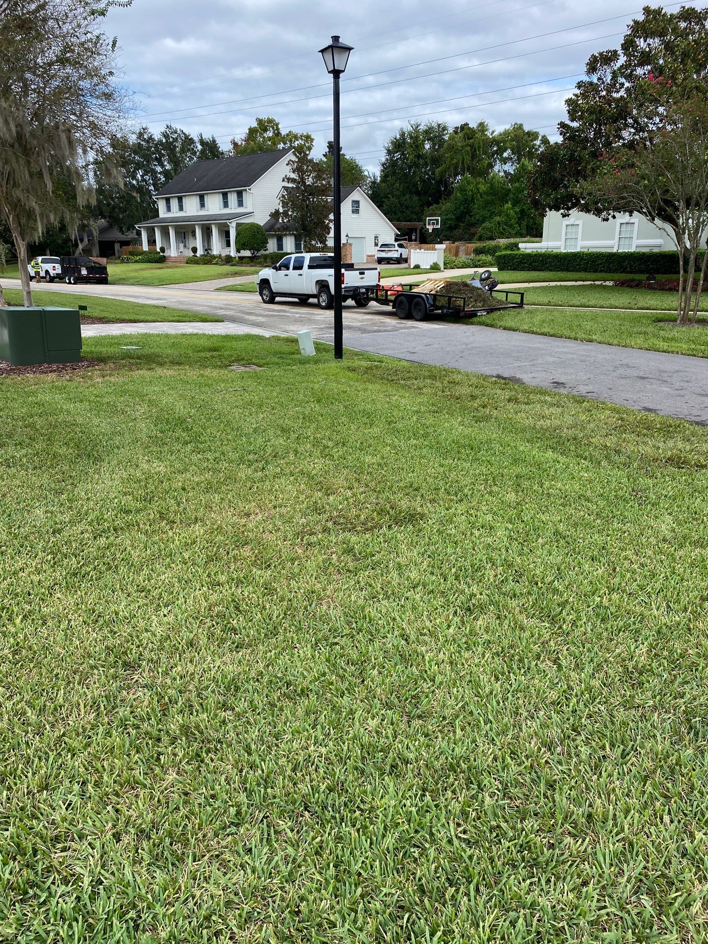 Deerwood Resident | Sod Replacement by ProGreen Services