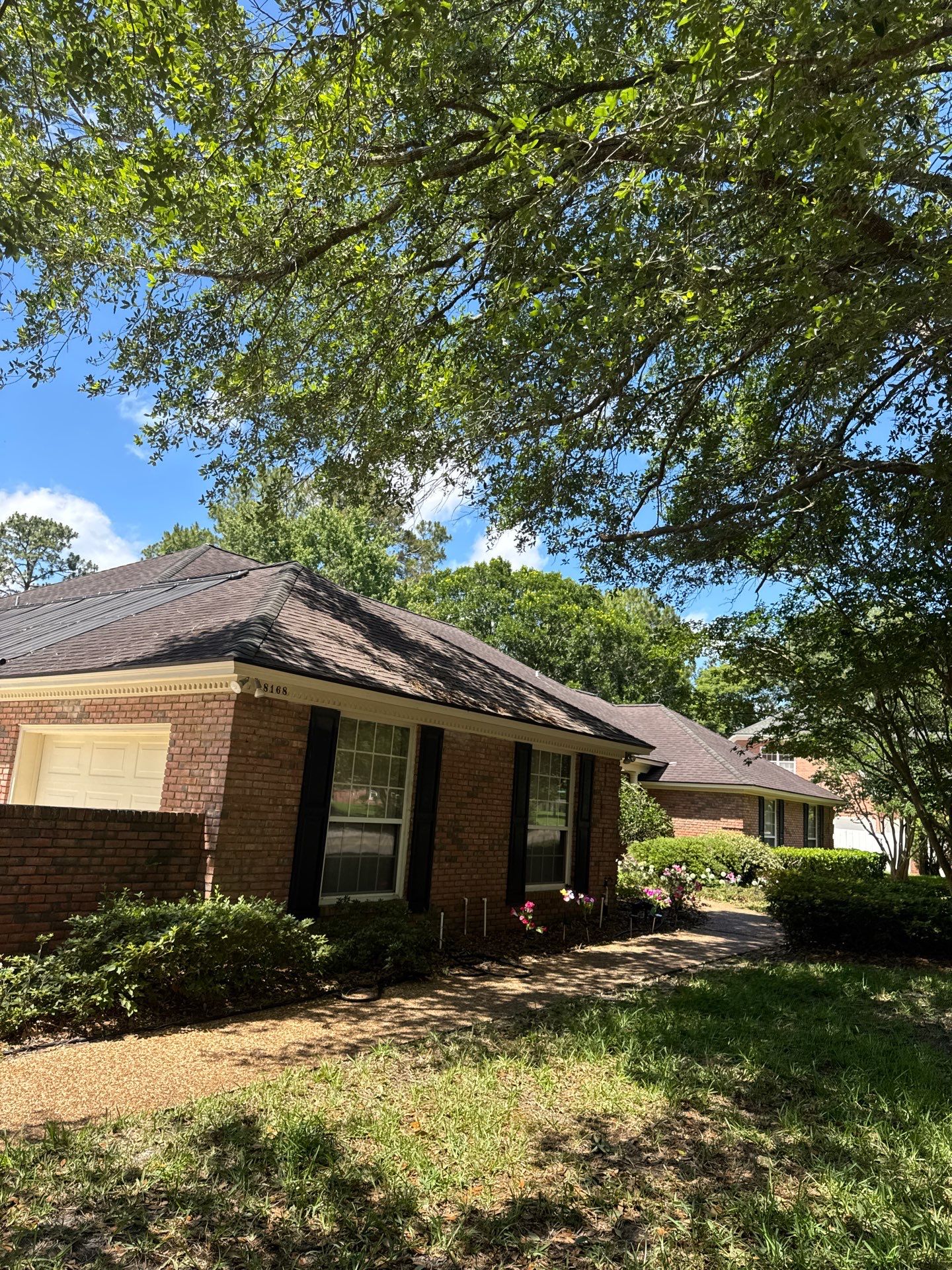 Deerwood Resident | Tree Trimming by ProGreen Services