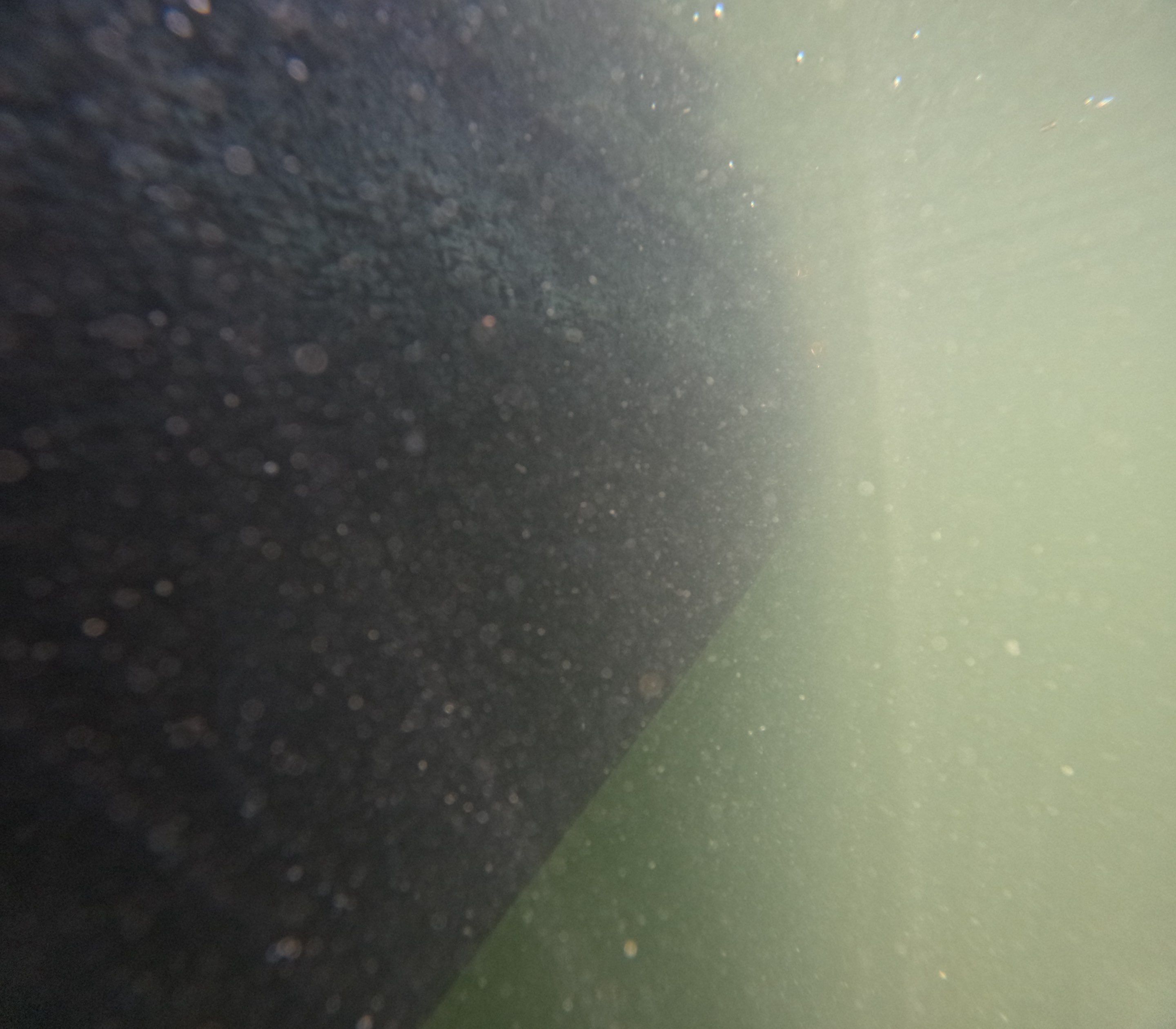 Project in Venice, FL by Florida Hull Cleaning 