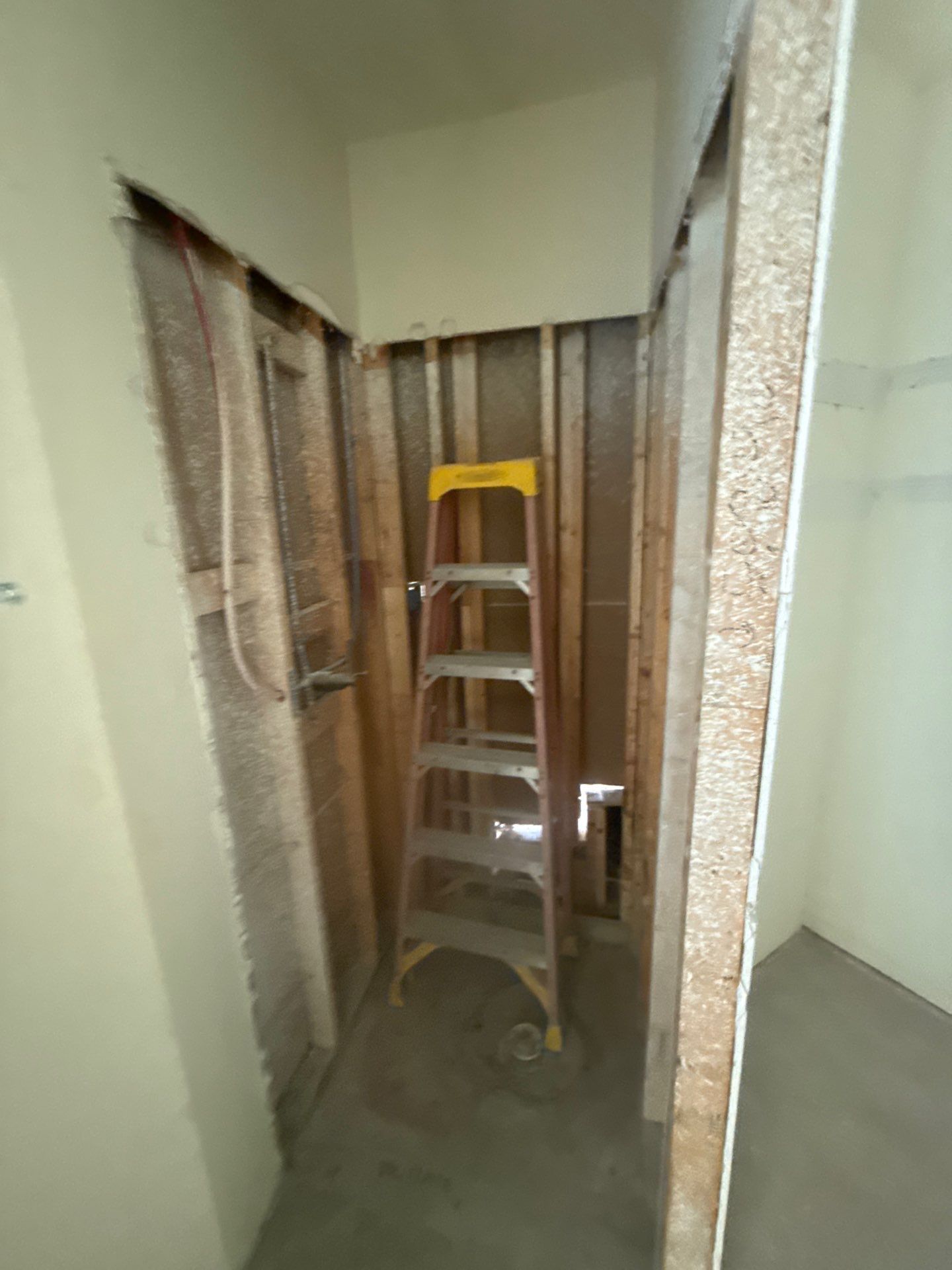 The DeSaro Family by SophAlx LLC