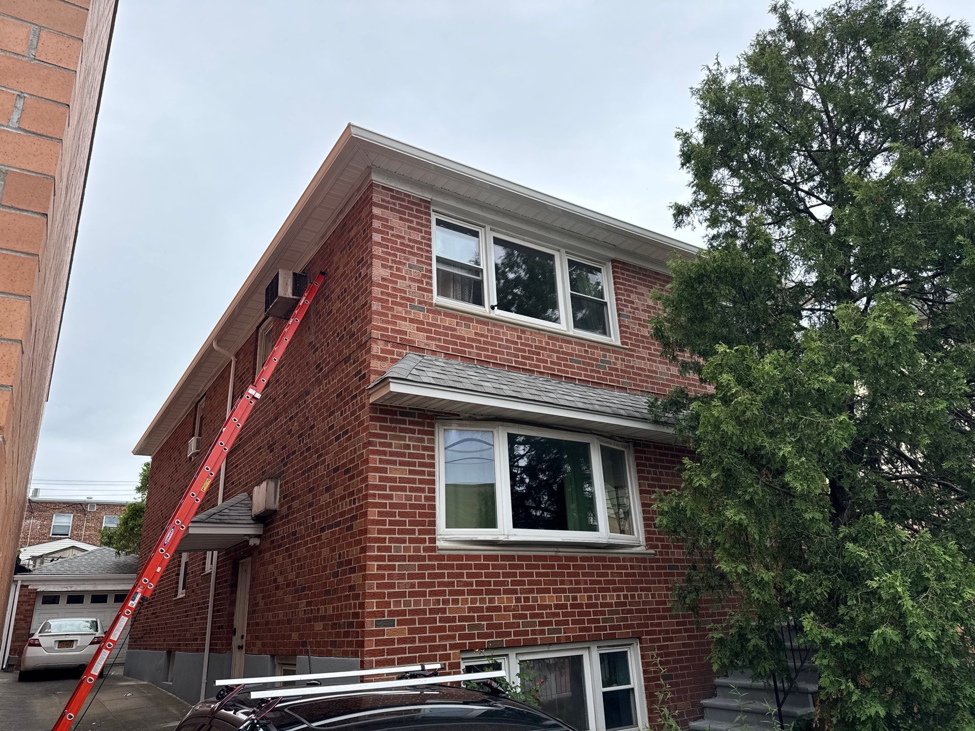 Bird removal, sanitization and prevention by NYC Extermination LLC