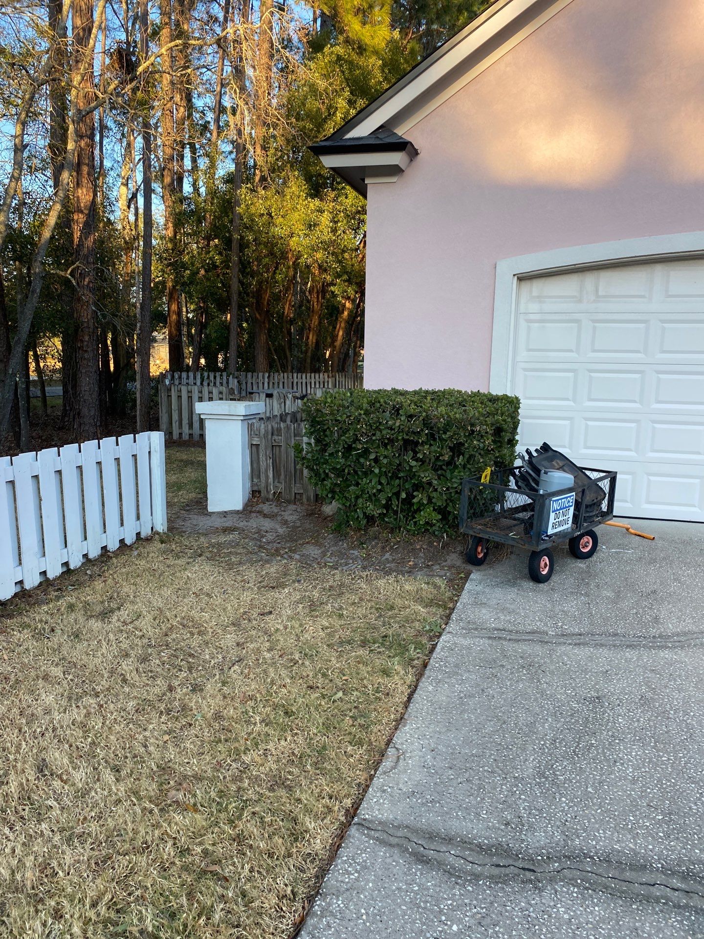 Deerwood Resident | Tree Removal & Clean-Up by ProGreen Services