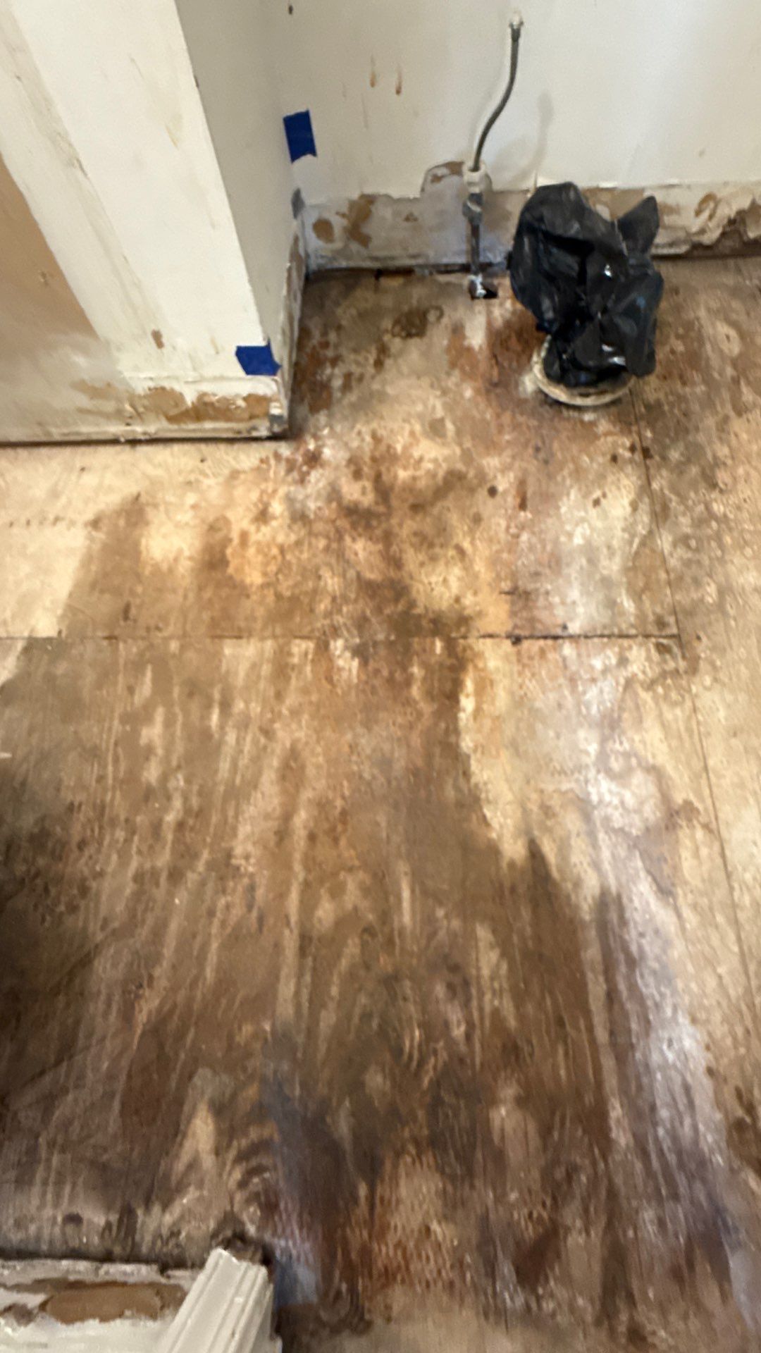 Project in Springfield by Restoration Doctor