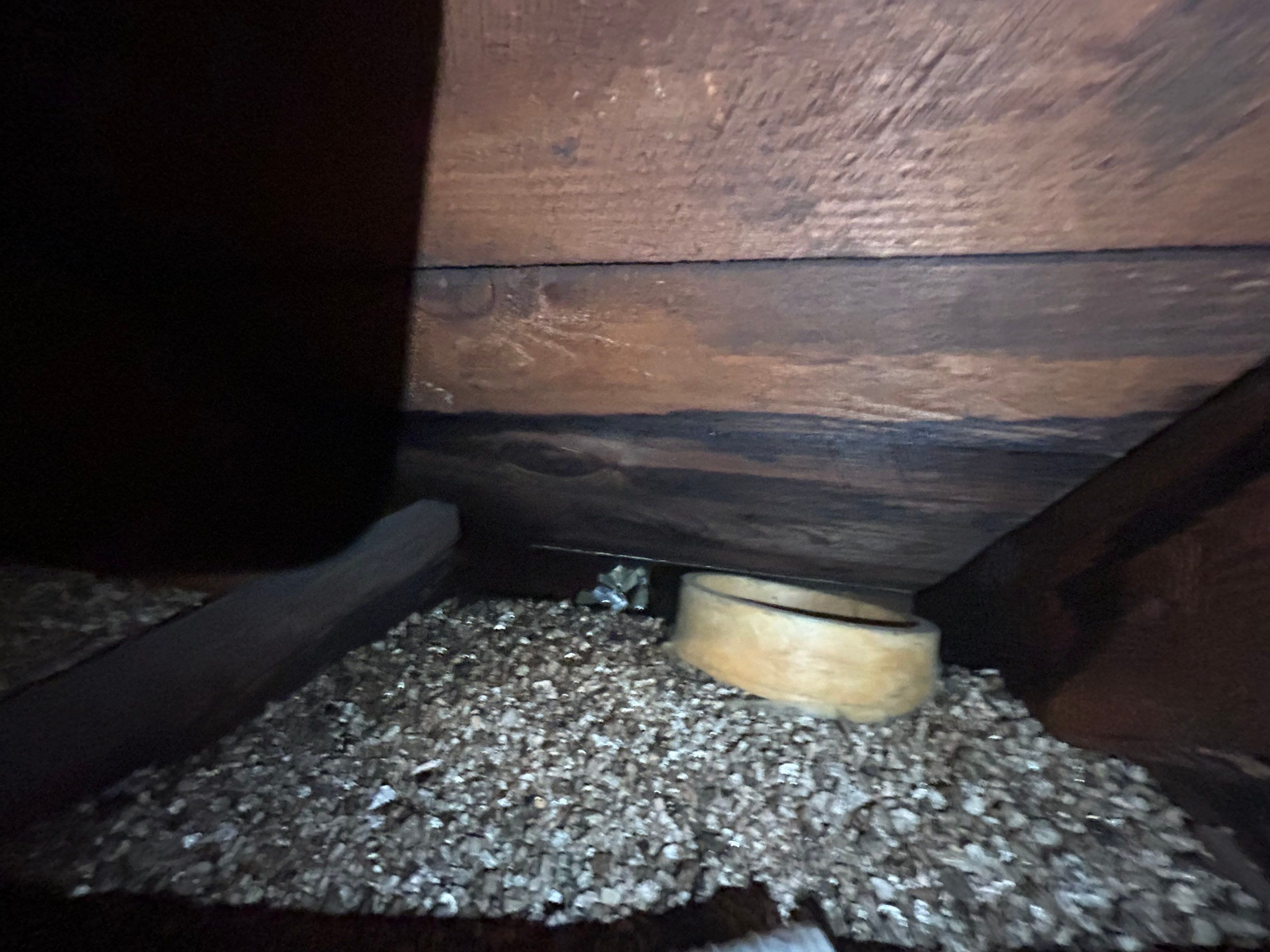 Alexandra: Residential Metal Roofing  by RM Banning, Inc.