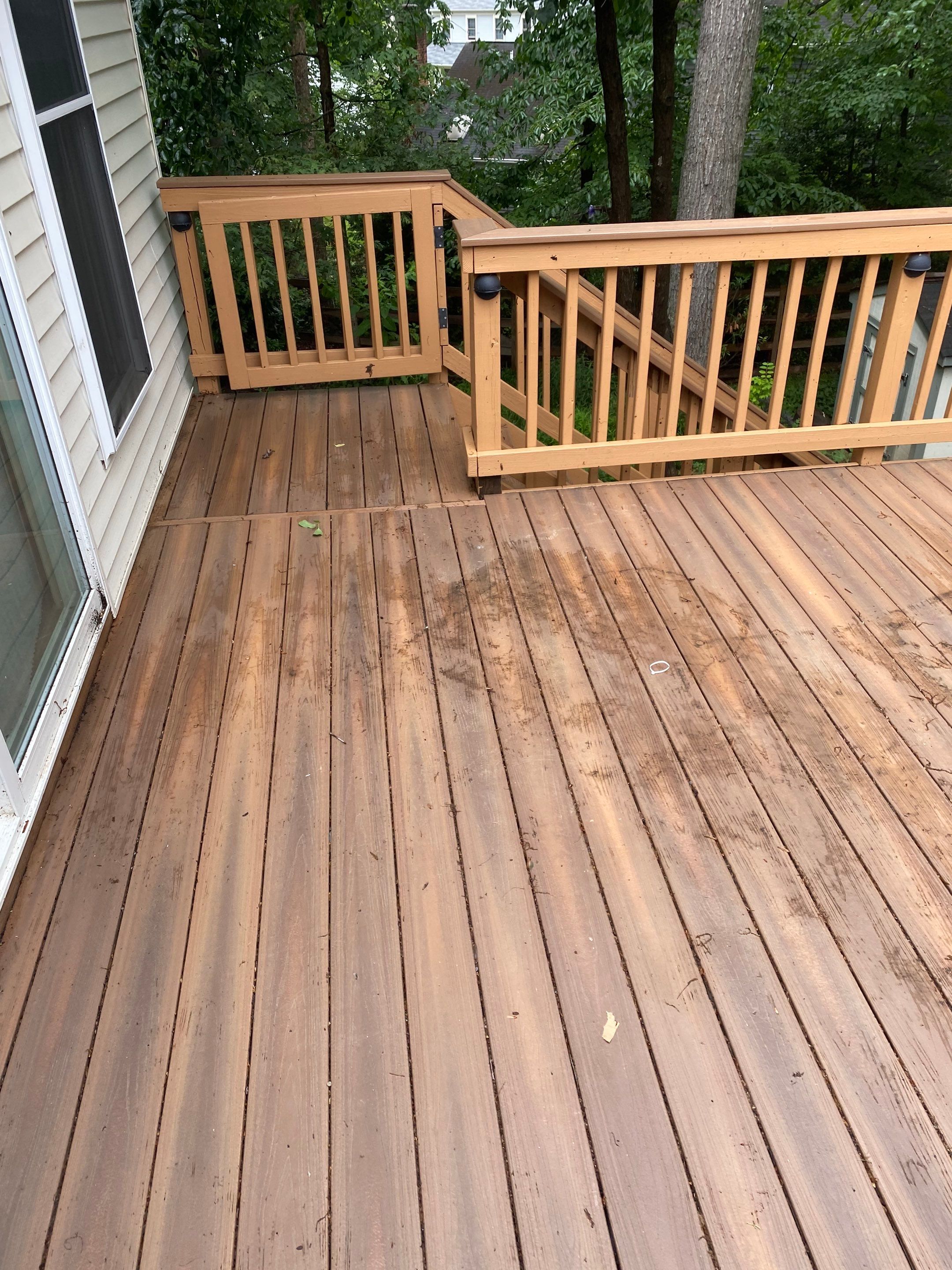 Burke: Multi-Trade Tree Damage Restoration by RM Banning, Inc.