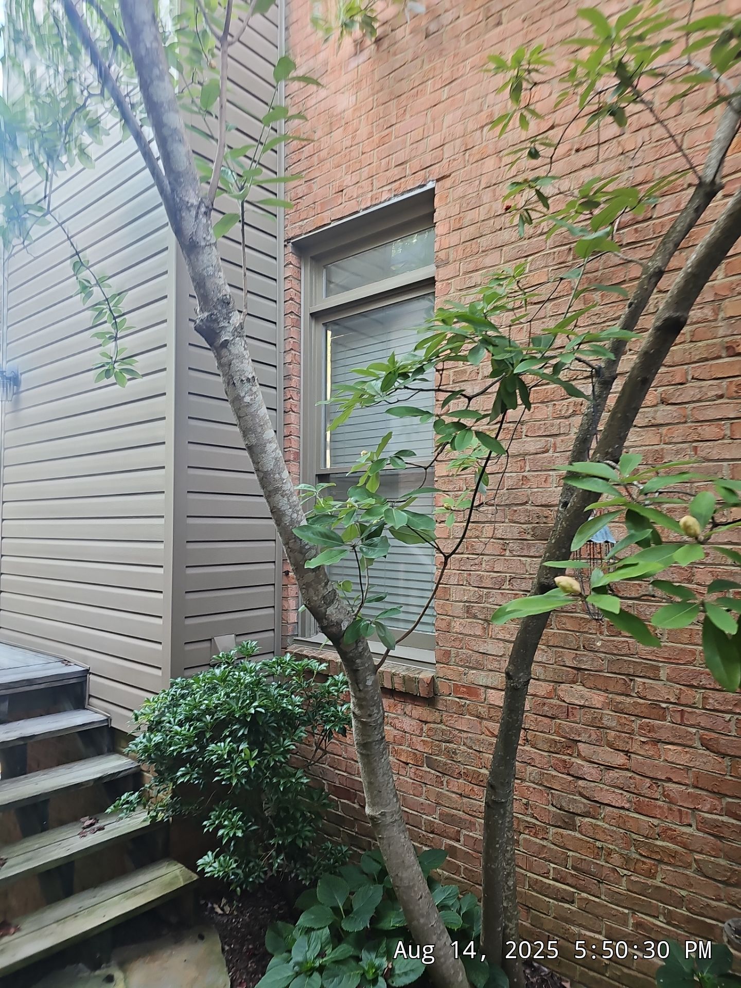 Wilson Project in Hoover by The Window Source