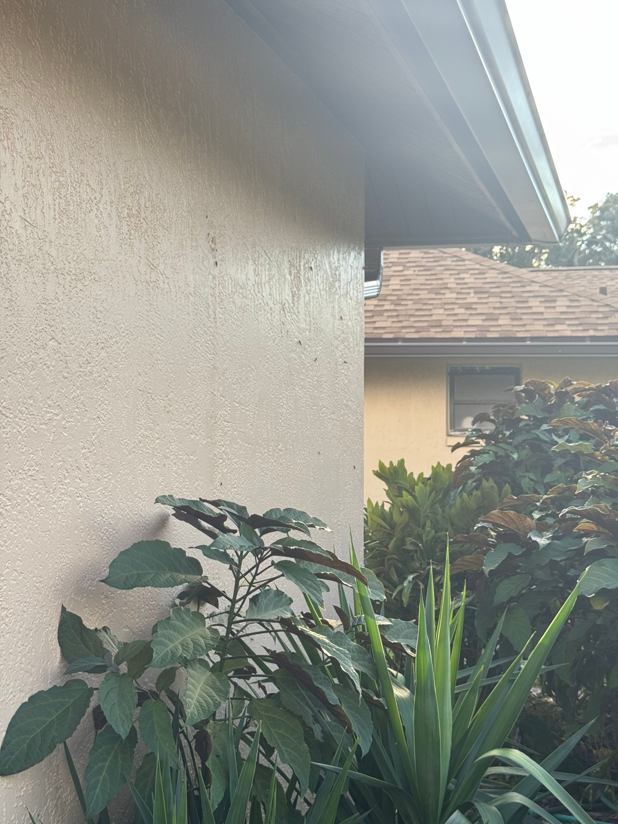 Bronze 6-Inch Seamless Gutters Installation in Bradenton FL by Gutter Professors