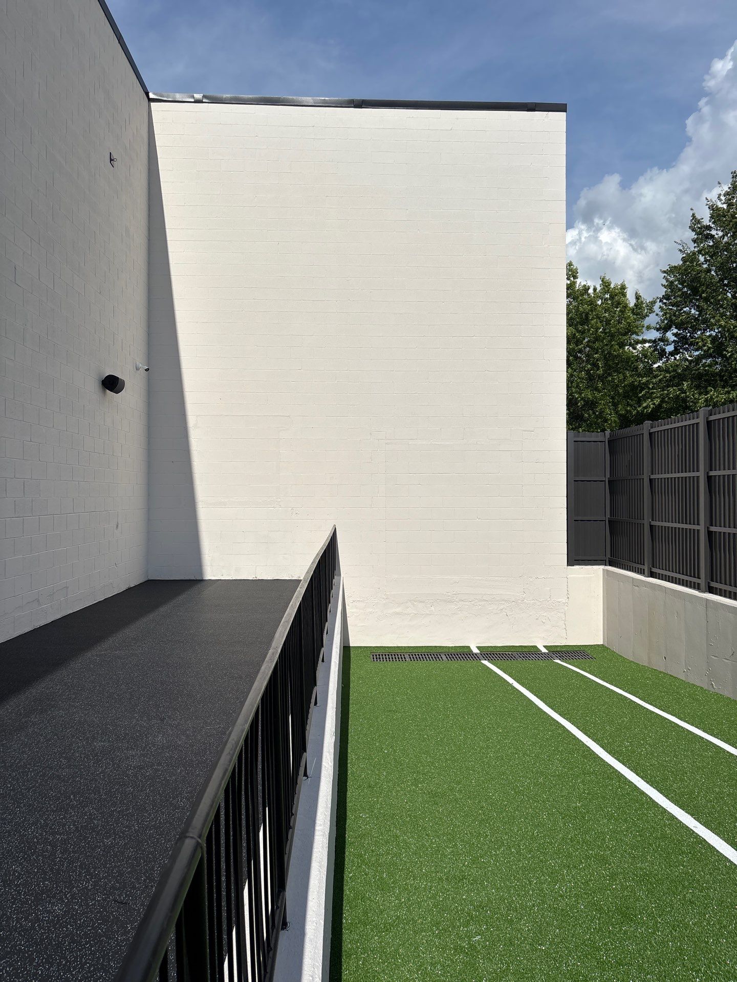 Ashburn One Life - exterior turf  by Nova HomeWorks 