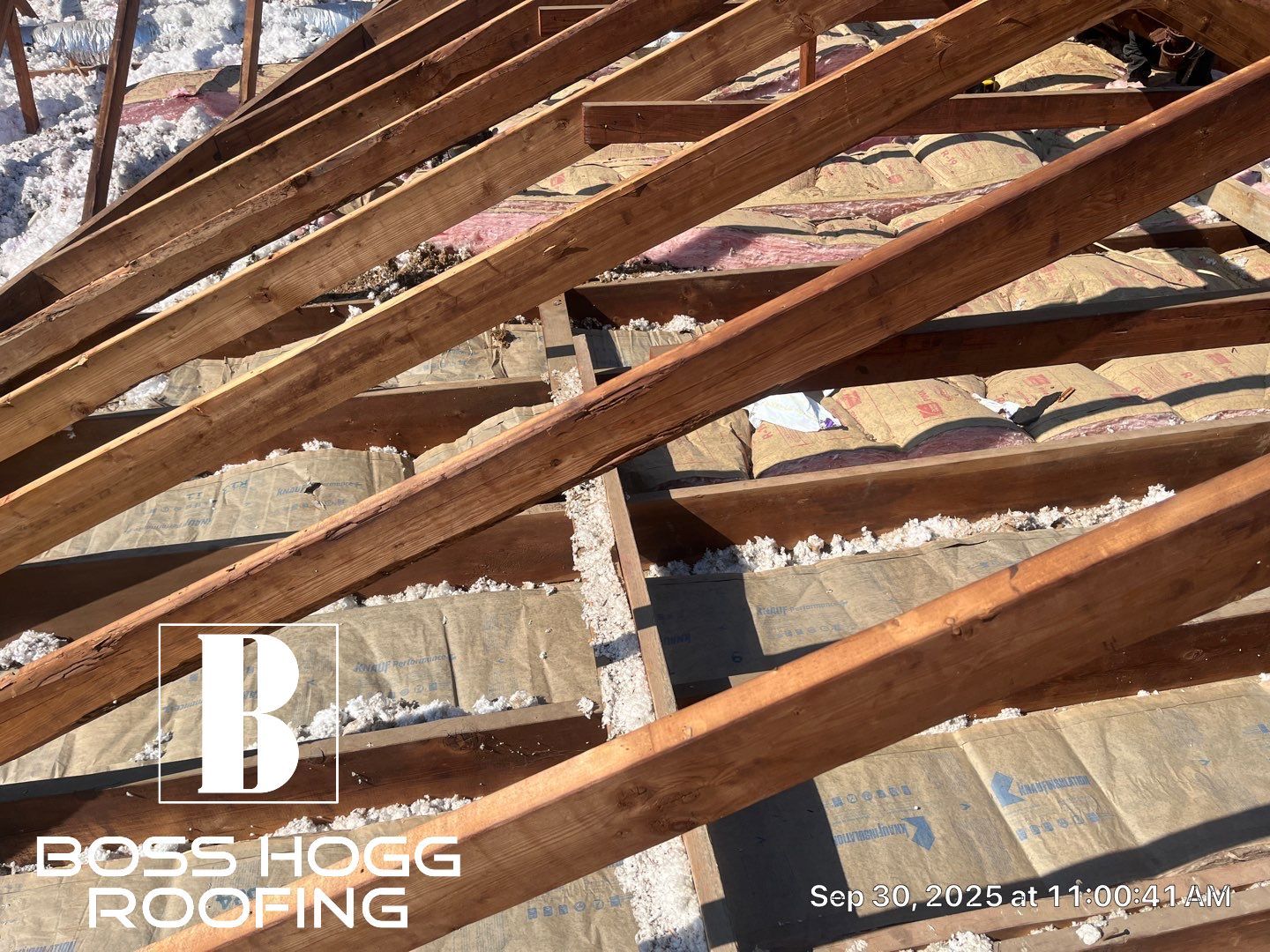 Lisa N by Boss Hogg Roofing