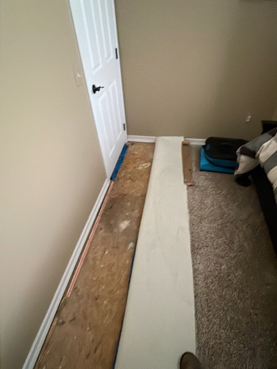 Project in Novi by EzDry Water Mitigation & Property Restoration