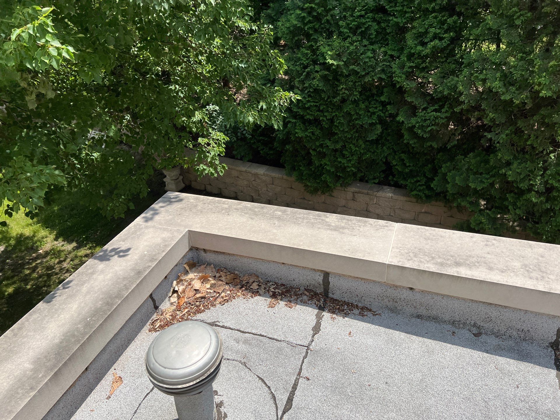 concrete cleaning using Algaecide, soft wash soap by Northern Power Washing LLC.