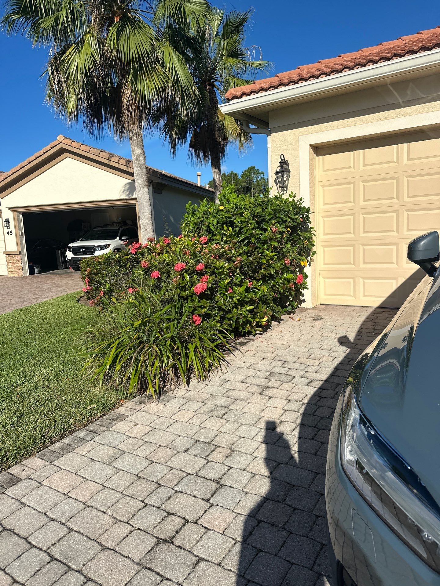 From Overgrown to Picture-Perfect - Stuart Refresh by Alpha Zeta Enterprises Inc
