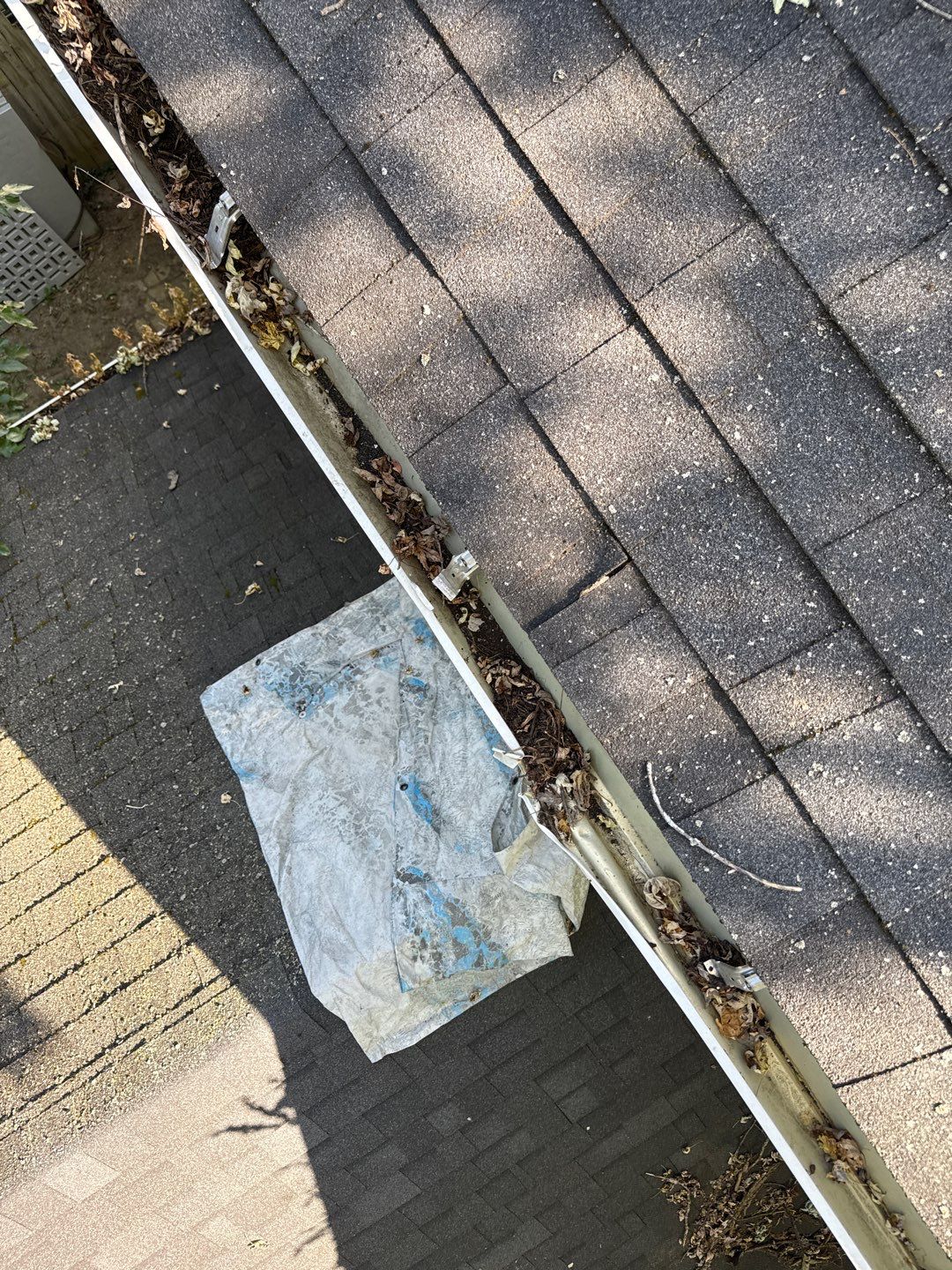 Jonathon Salmons Hail & Tree Damage Report by Constructive Project Management