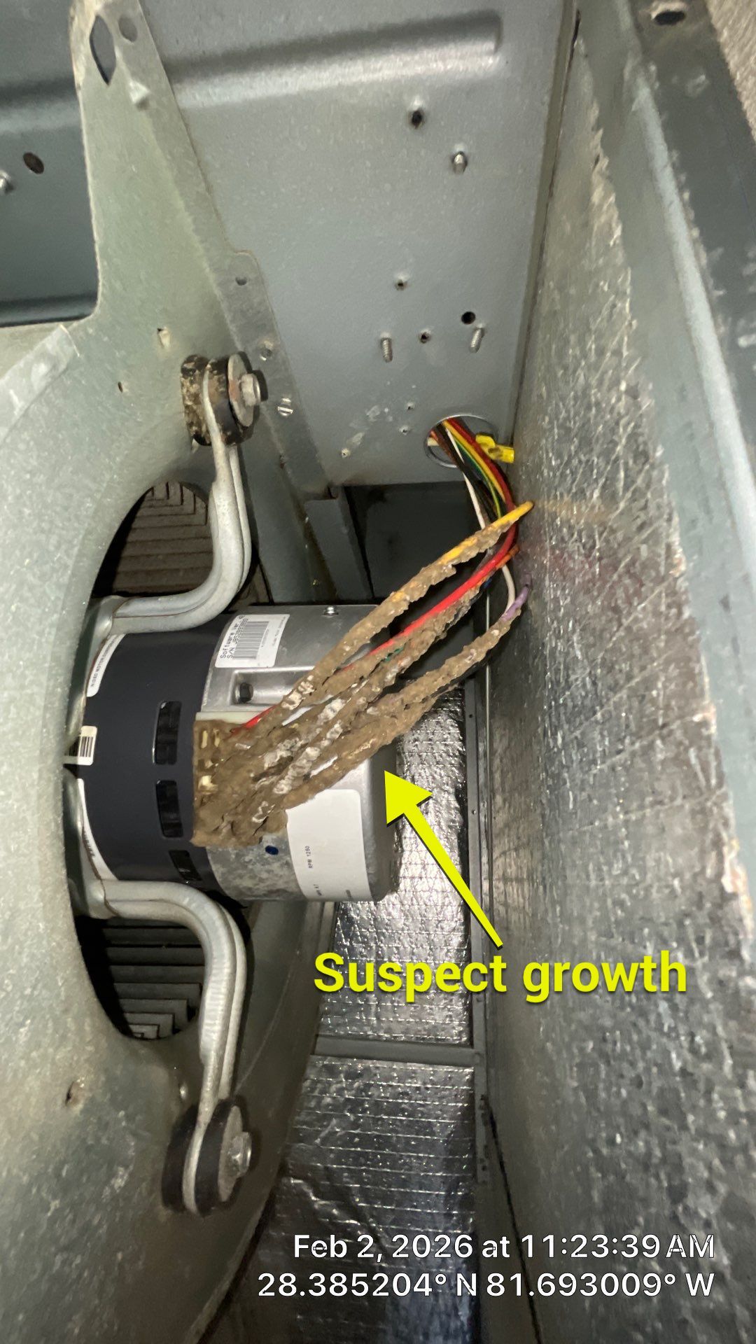 Air Duct Bathroom Exhaust Fans Cleaning in Clermont by Hygienic Air, Inc