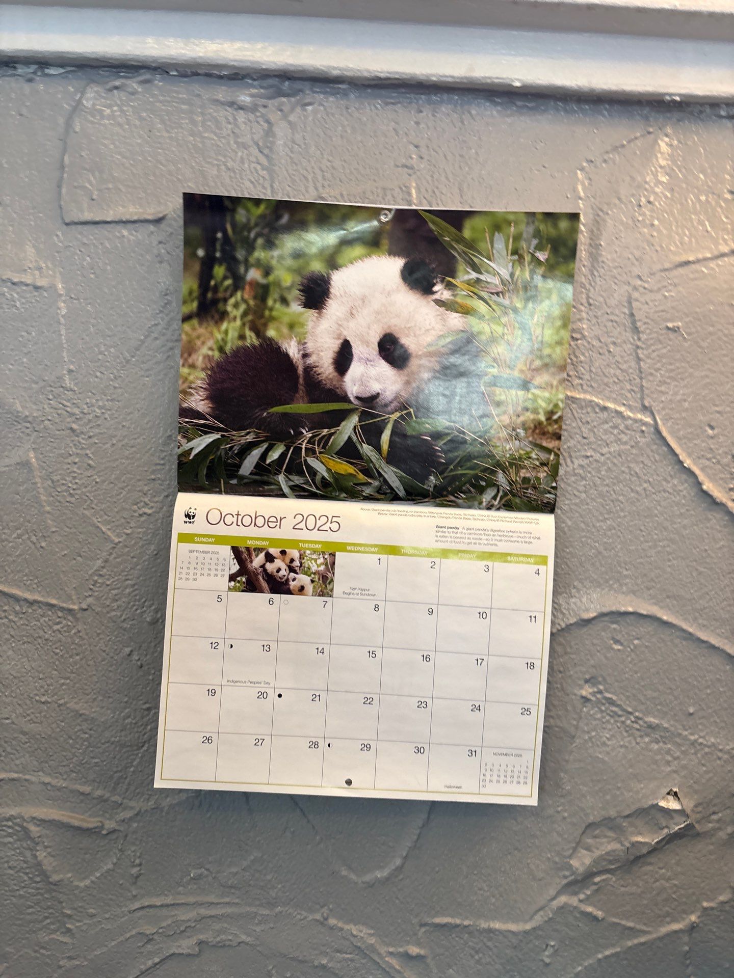 Drew's House by CompanyCam | Account Management Demo Account