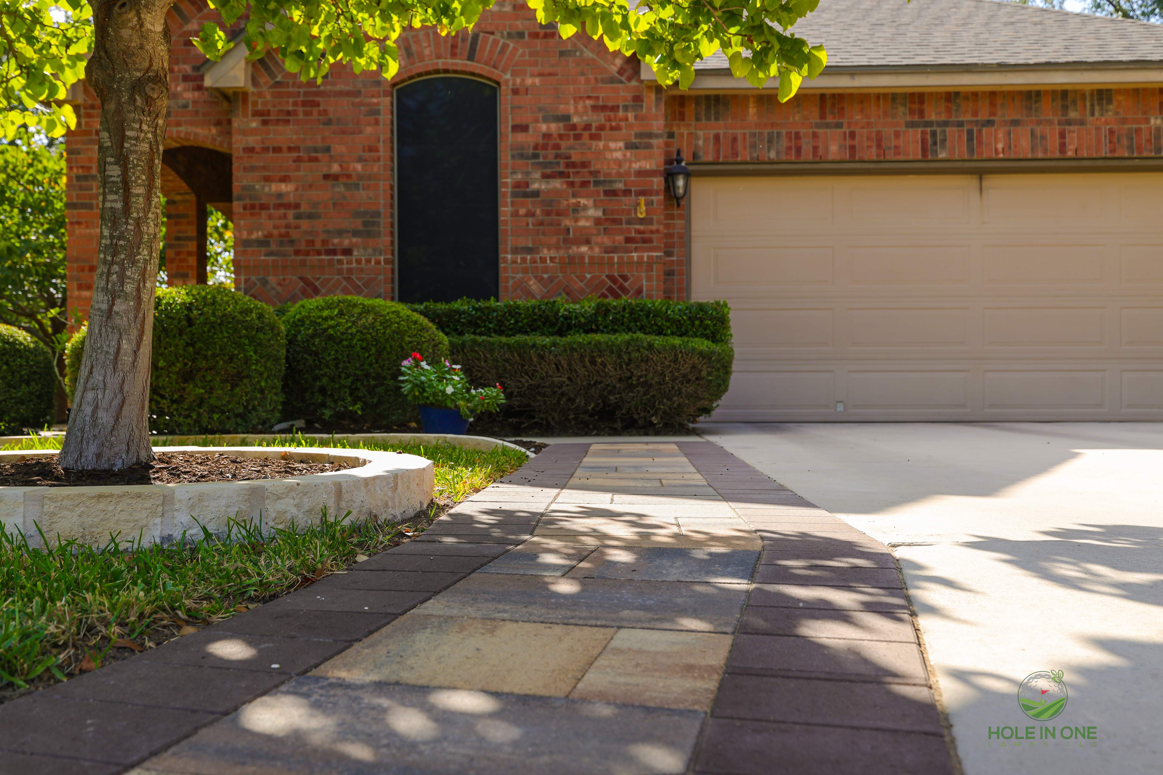 Wortham Oak, San Antonio TX by Hole In One Lawns, LLC