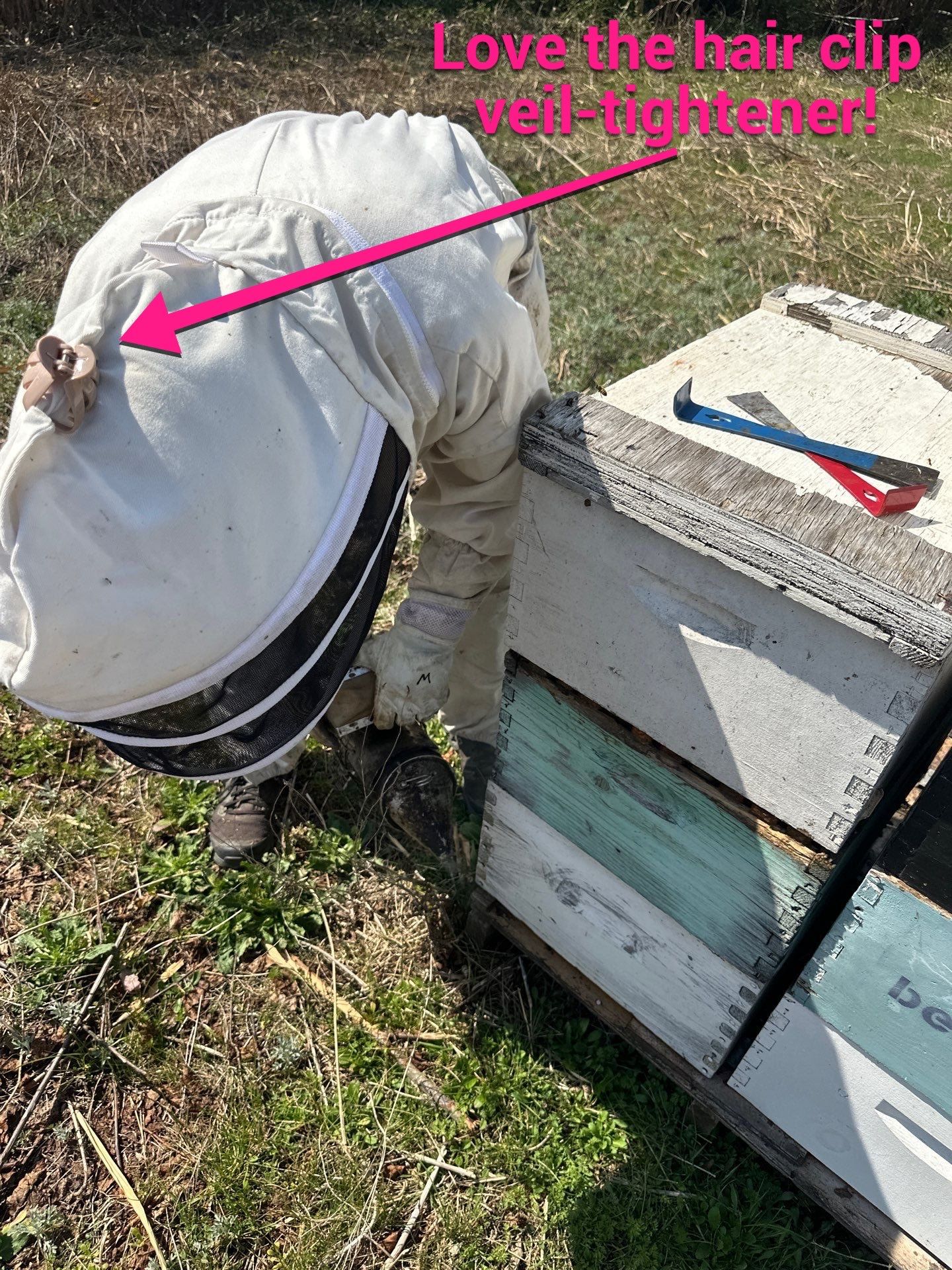 Teaching at an Apiary in Rowlett by Rockwall Honey Bee Company