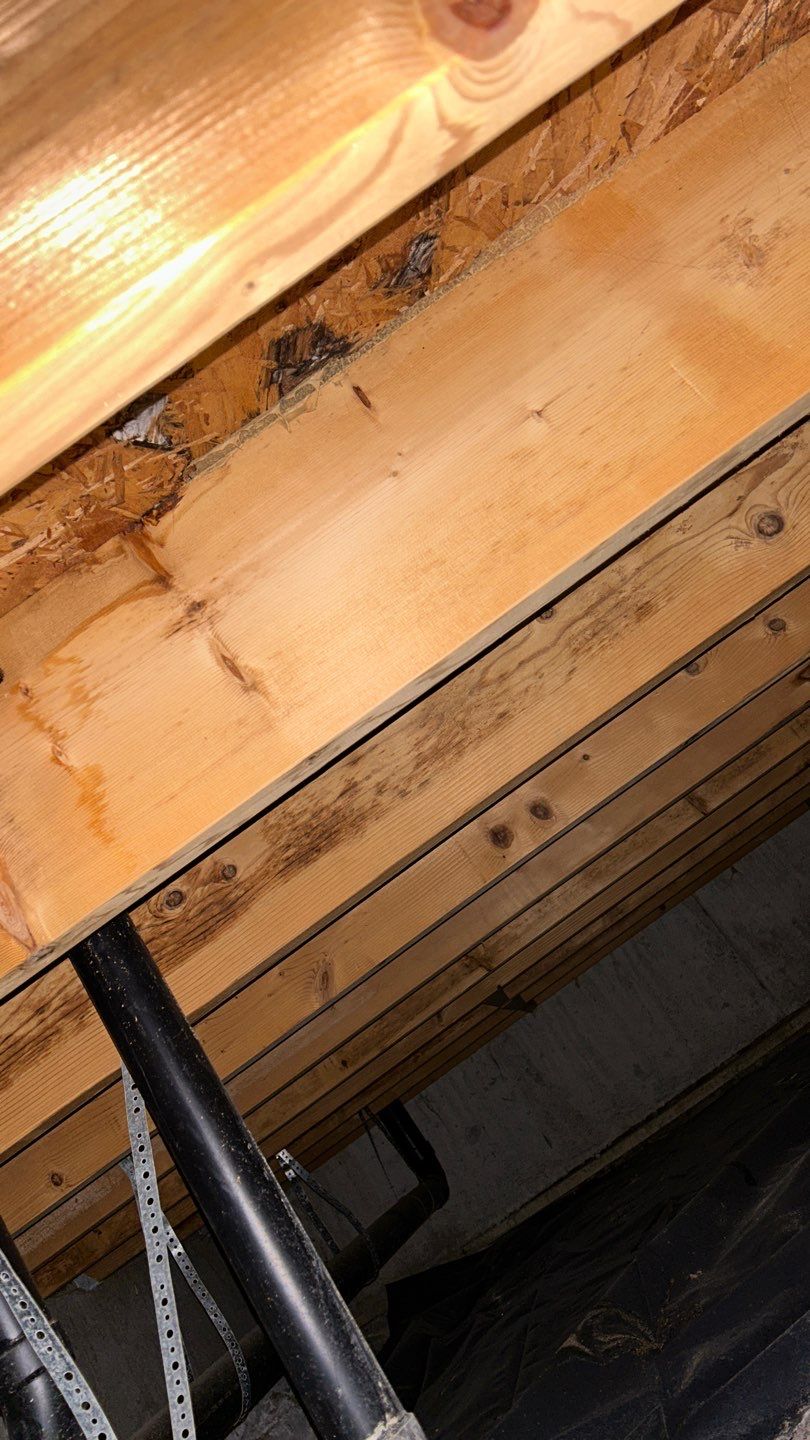 Mold Damage by Accountable Home Services