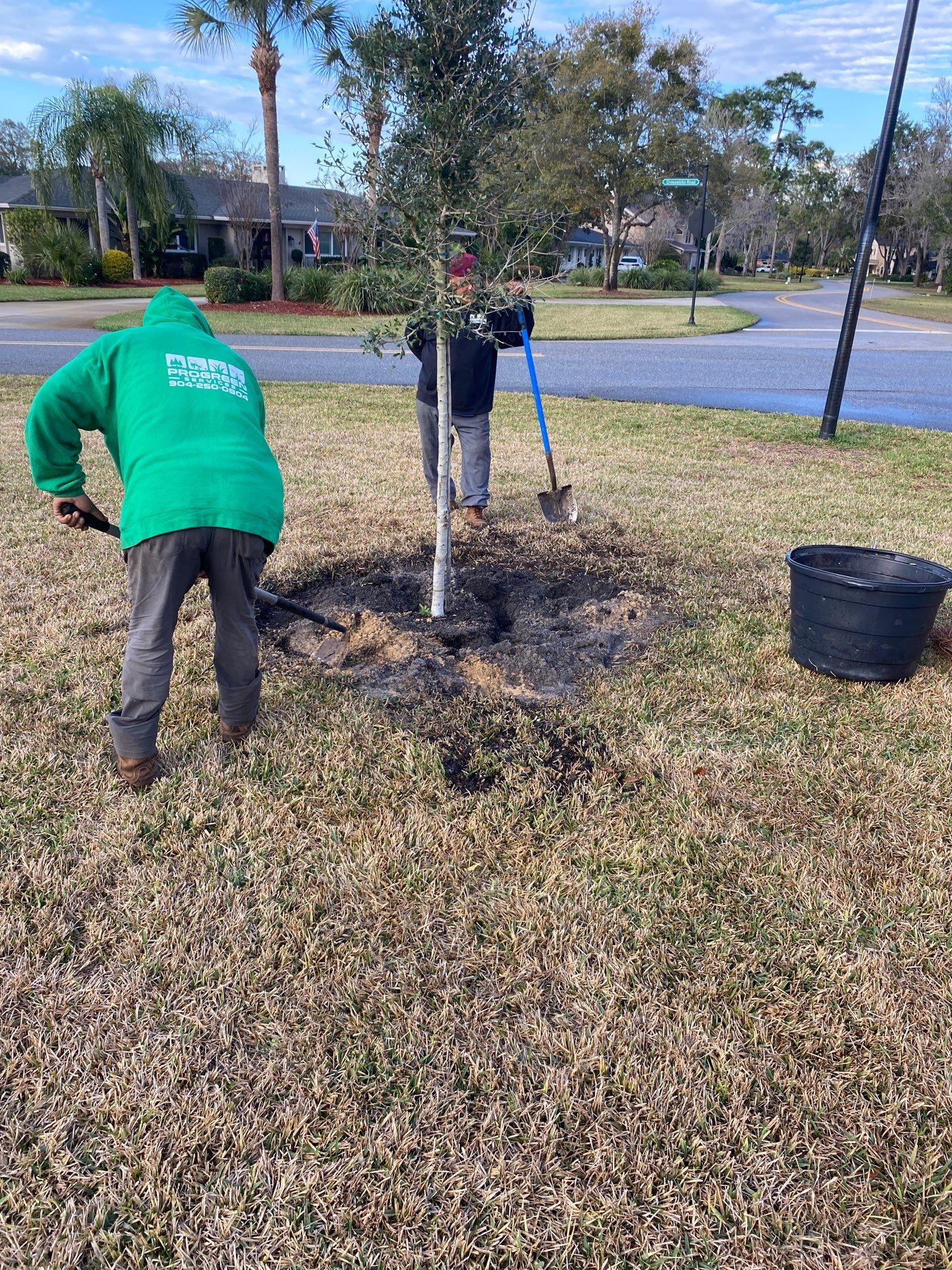 Deerwood | Live Oak Planting Project  by ProGreen Services