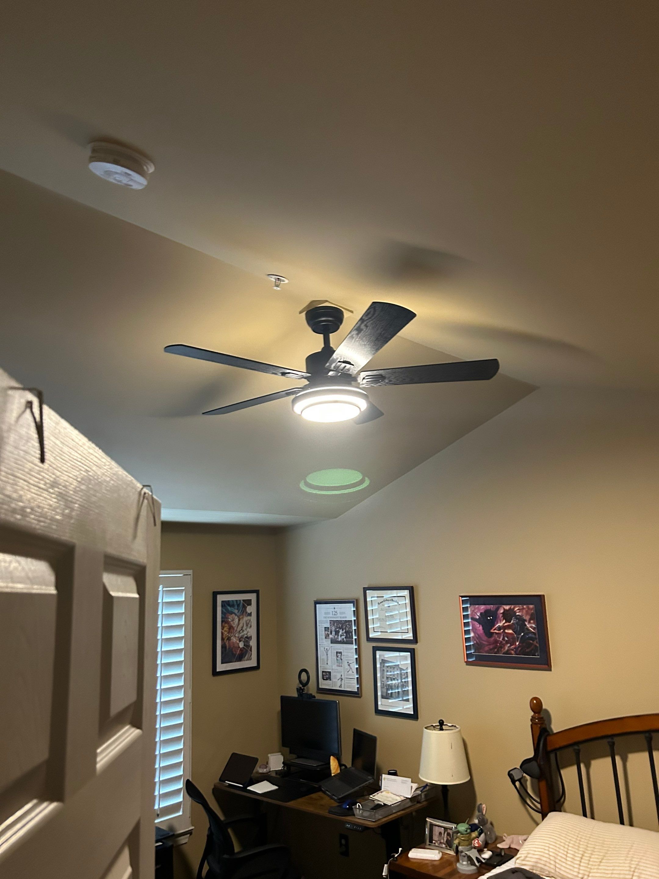 Ceiling Fan by Xpert Electric