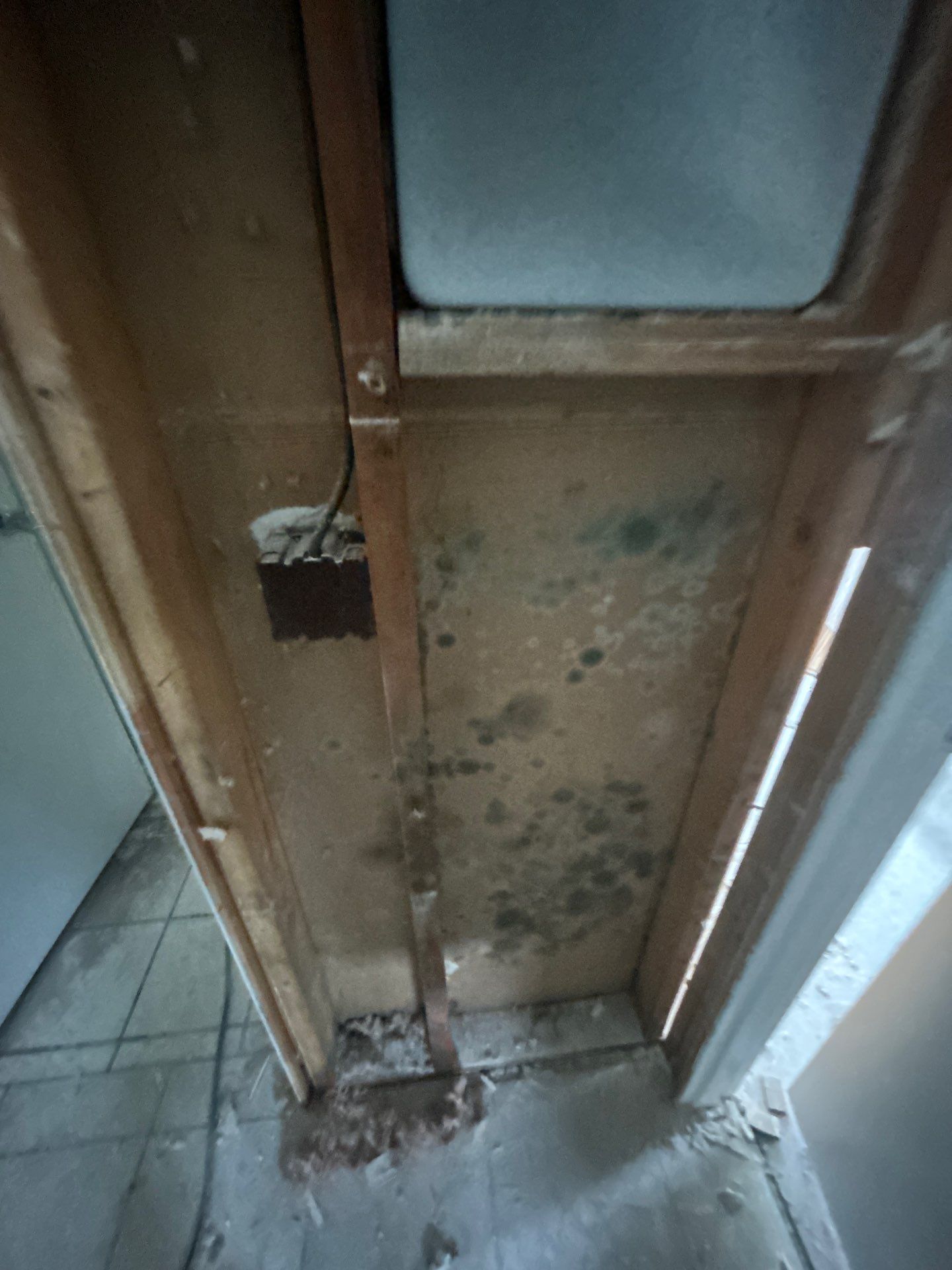 Mold Remediation In Sarasota by Ampm Restoration Services