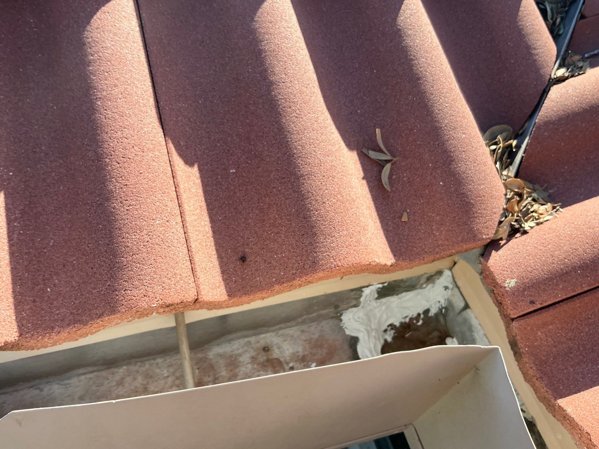 Gutter Cleaning Services in Sarasota FL by Gutter Professors