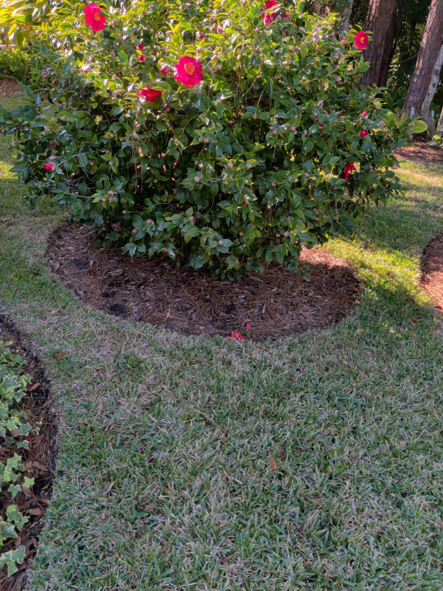 Flower Bed Cleanup & Mulch Preparation — Jacksonville Beach by Harmoni Home Services