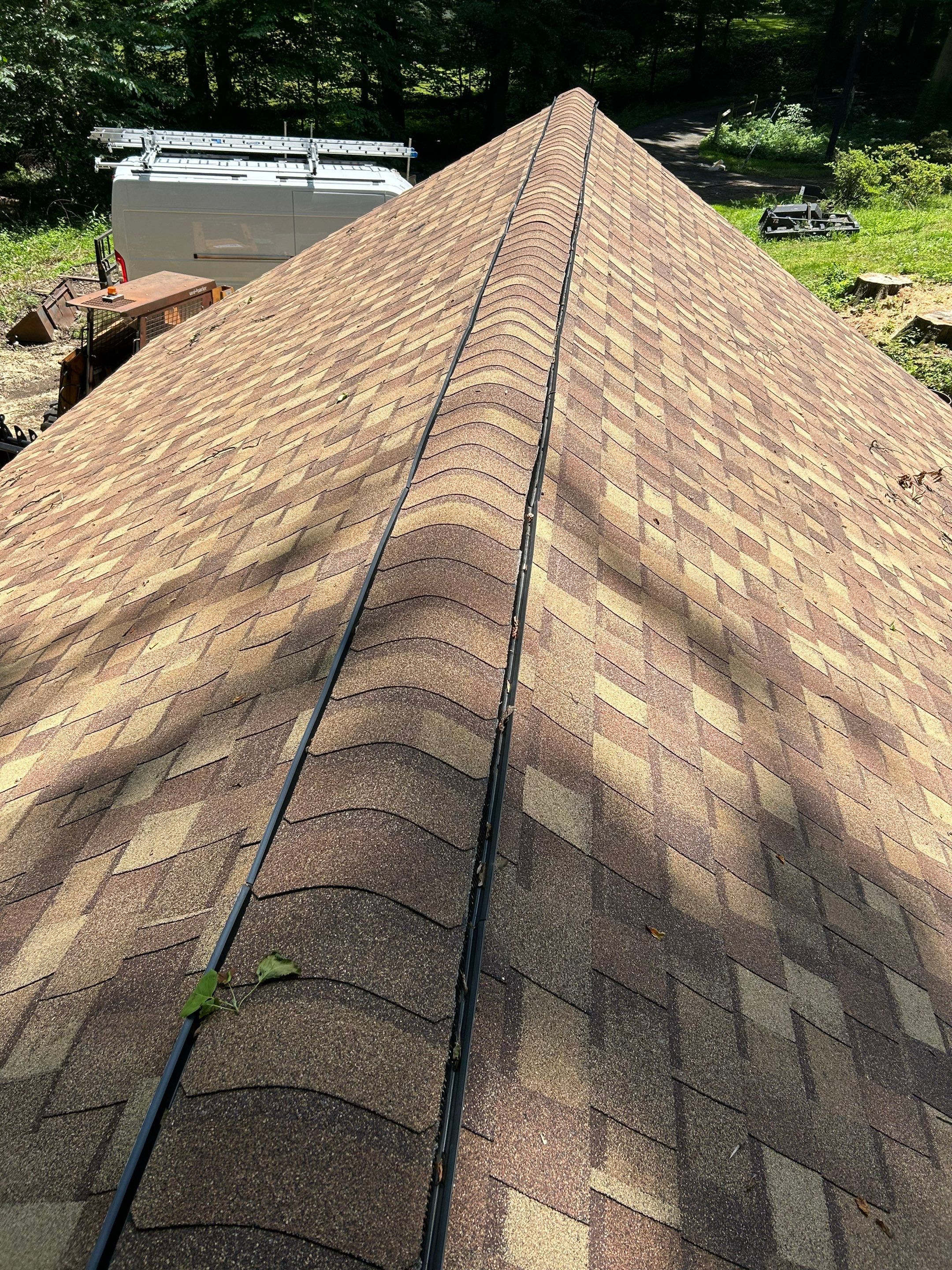 Annandale: Multi-Trade Tree Damage Restoration by RM Banning, Inc.