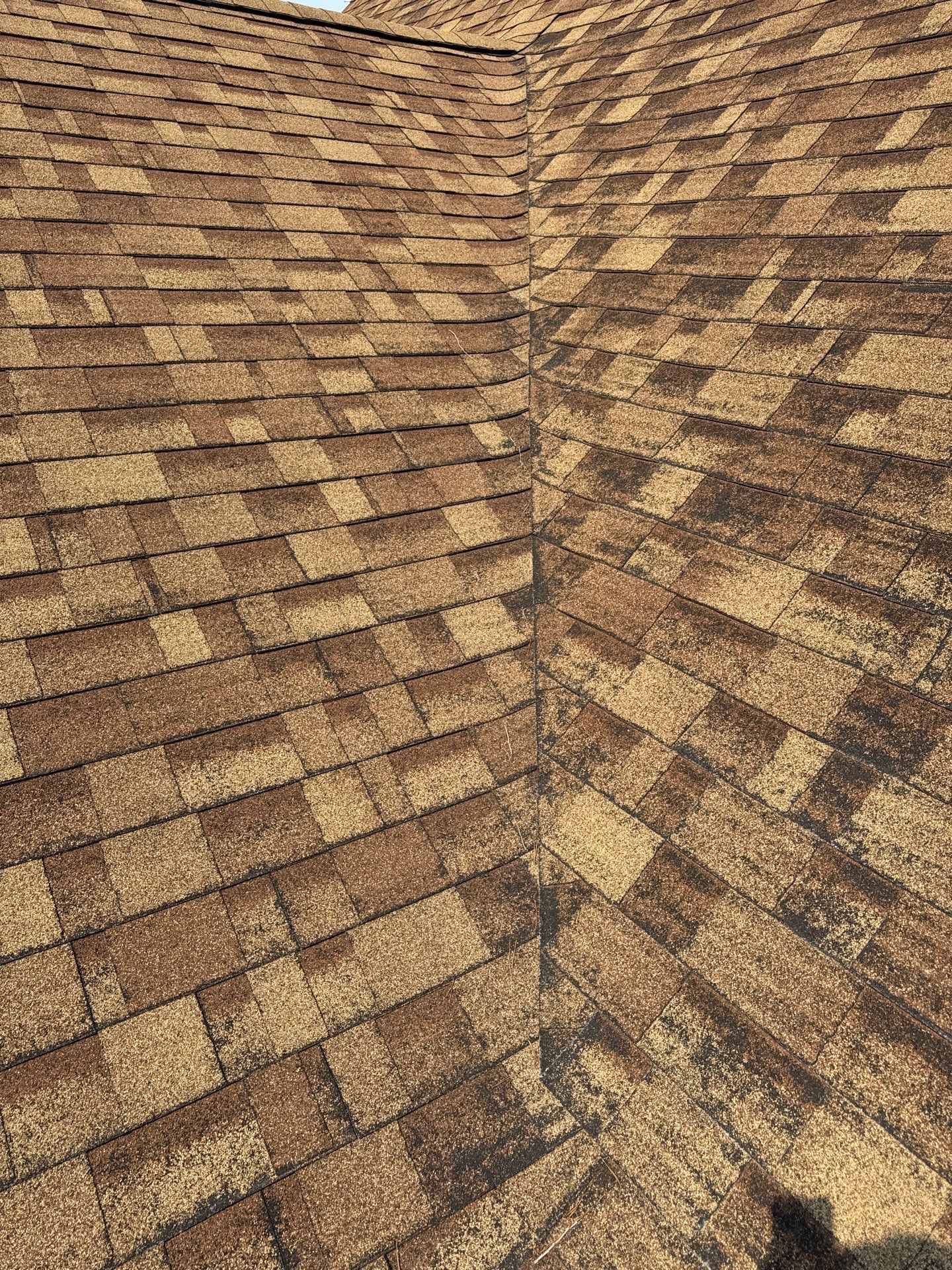 Architectural Shingle Roof Replacement for Boise Log Cabin Home by Olive Roofing