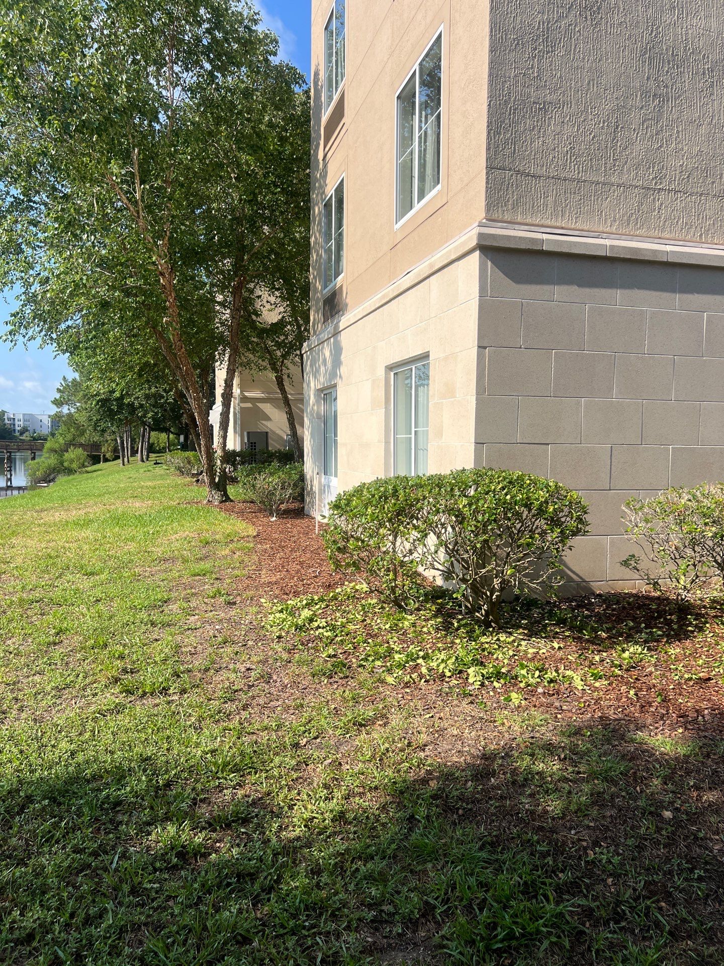 Homewood Suites | Tree Service by ProGreen Services