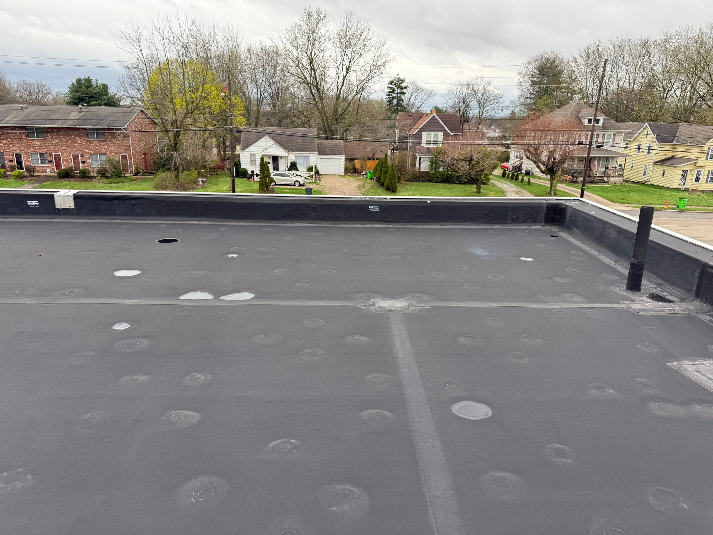 Jenn Bernard by Silver Leaf Contracting 