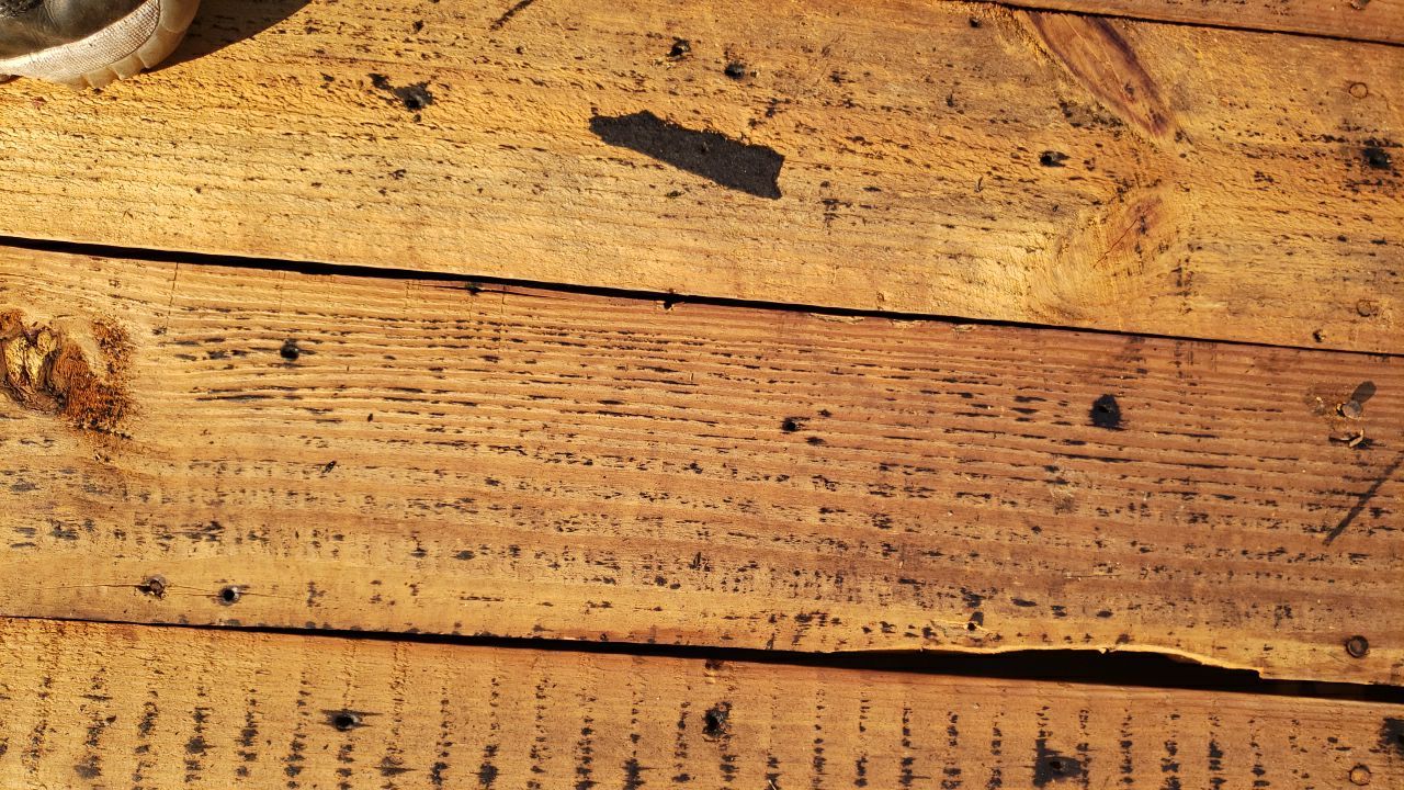 Fairfax: CertainTeed Landmark Pro Designer Shingles in Max Def Charcoal Black by RM Banning, Inc.