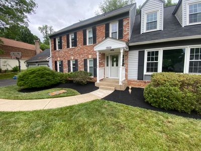 Landscape Design and Cleanup