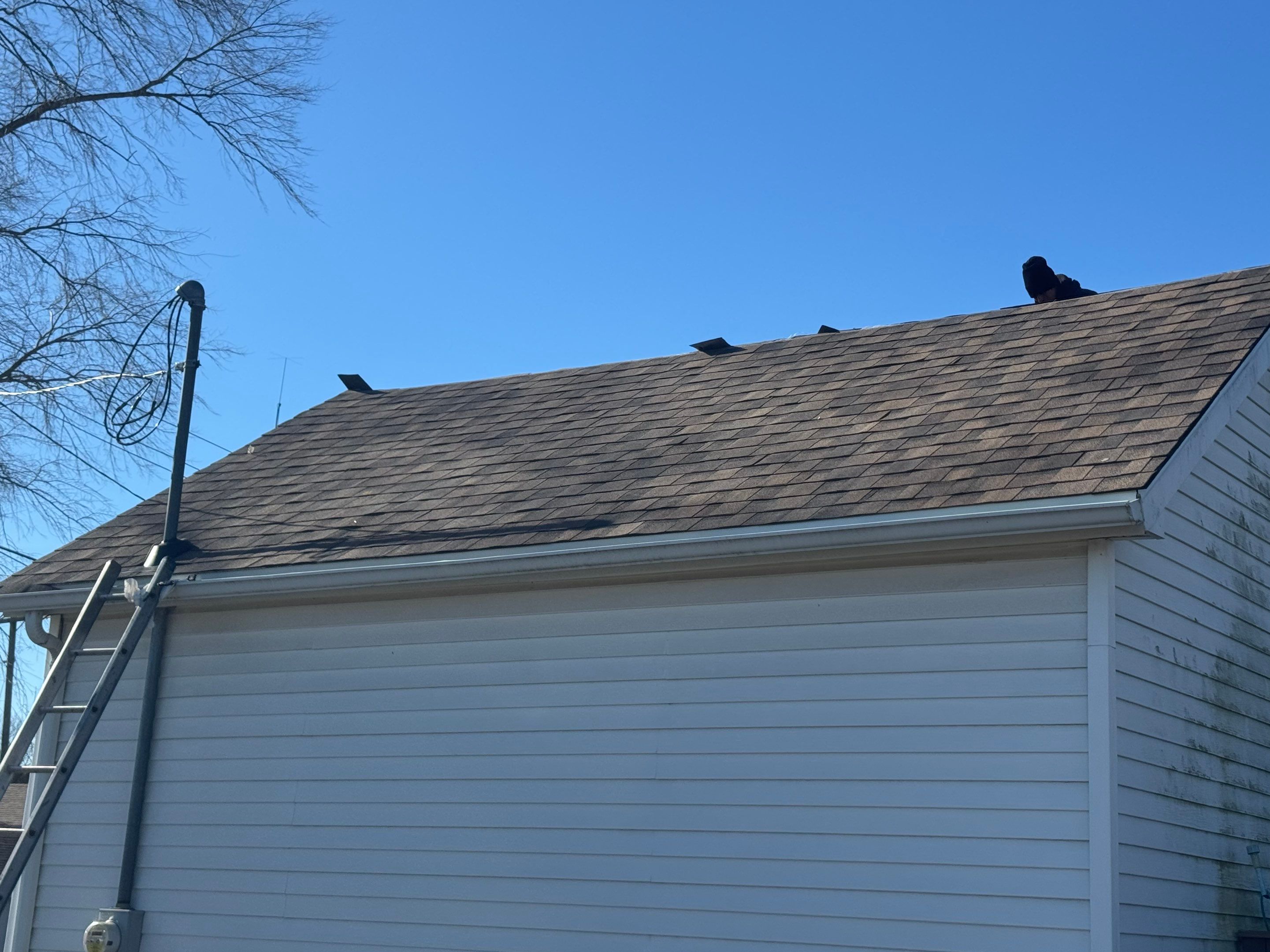 Sharkey Roof by Erie Home