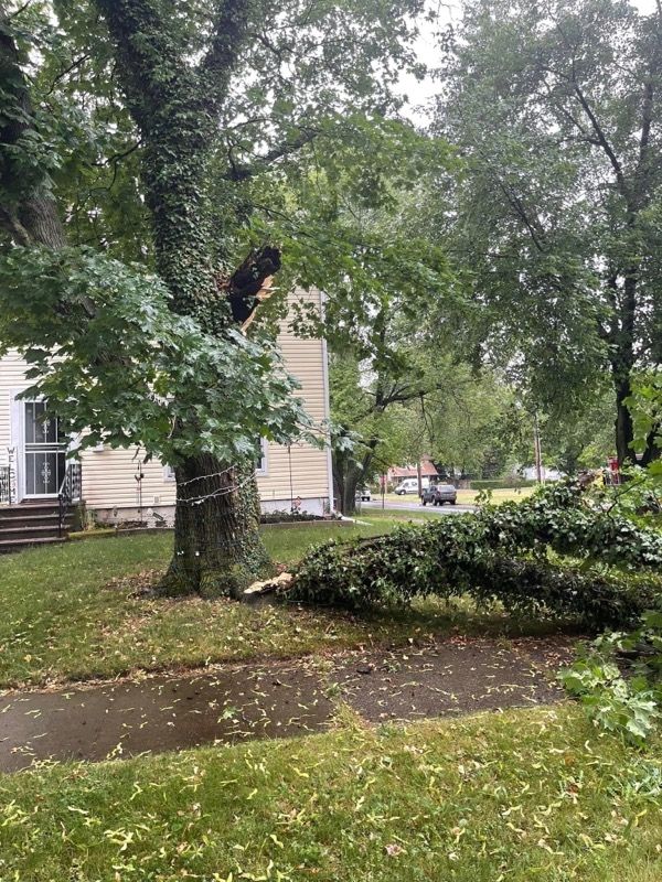 Storm Damaged Tree Removal  using Tree Removal by Mike Jones & Sons Tree Service LLC 