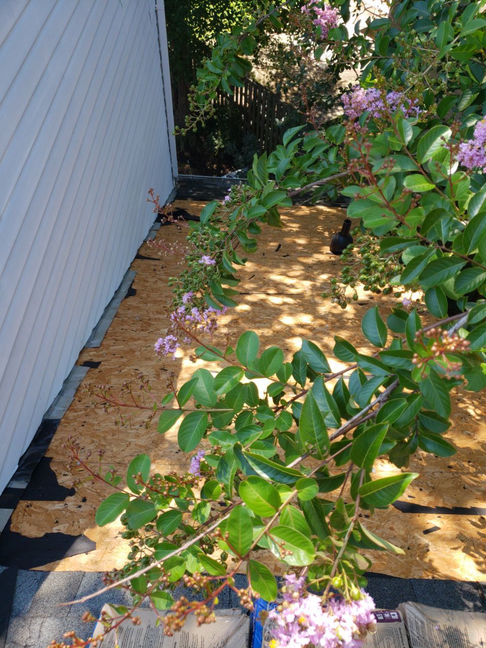 Alexandria: CertainTeed Landmark Pro Designer Shingles in Max Def Colonial Slate by RM Banning, Inc.